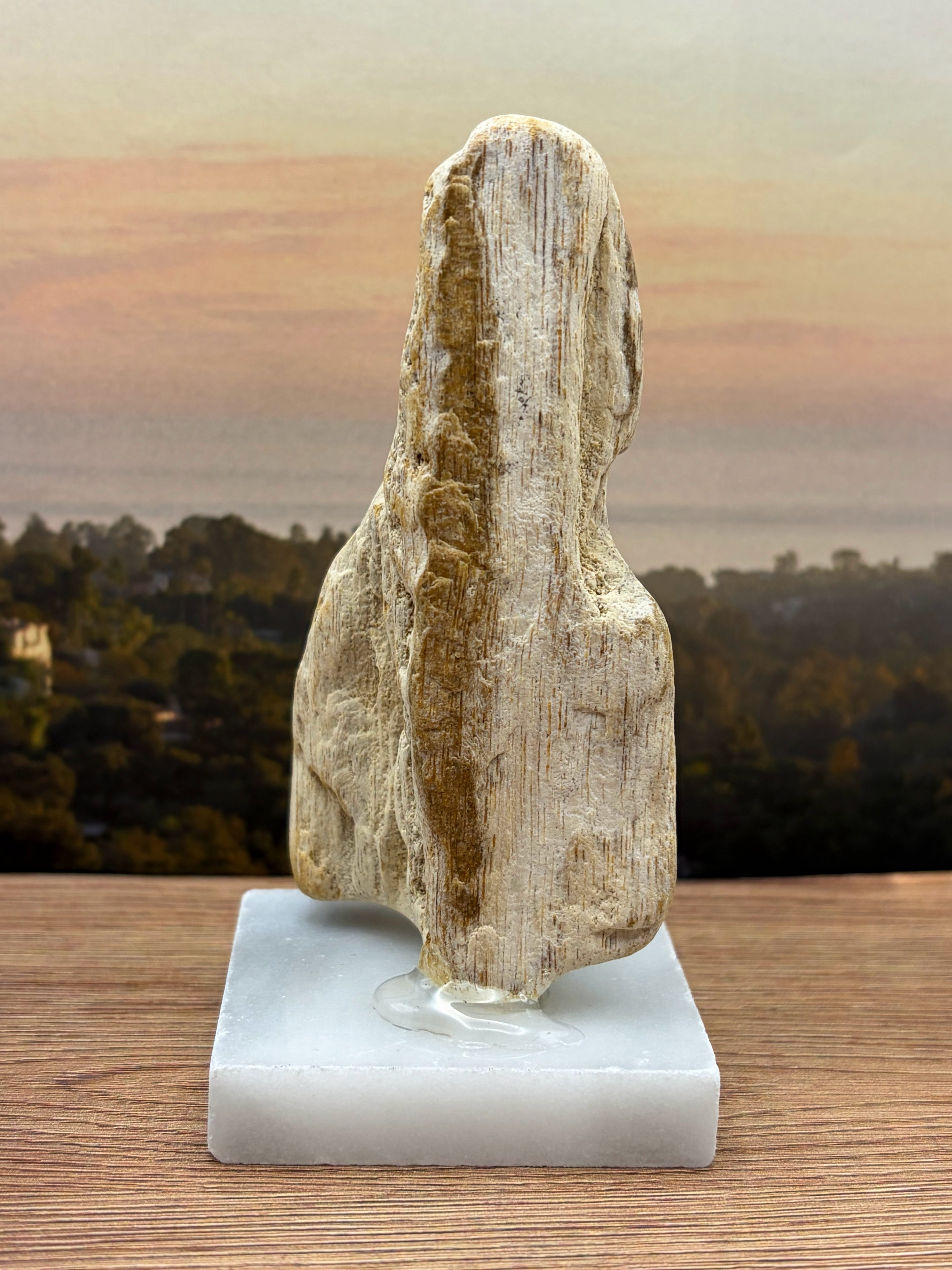 Petrified Wood Specimen (with stand)