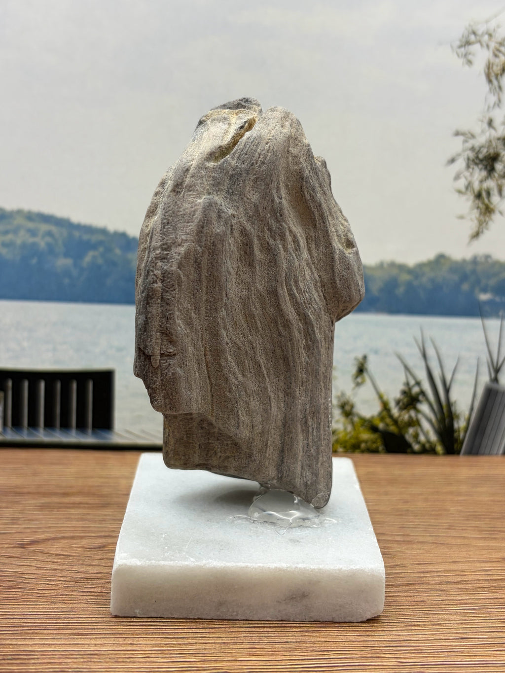 Petrified Wood Specimen (with stand)
