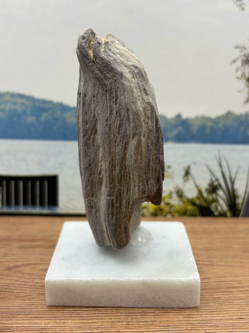Petrified Wood Specimen (with stand)