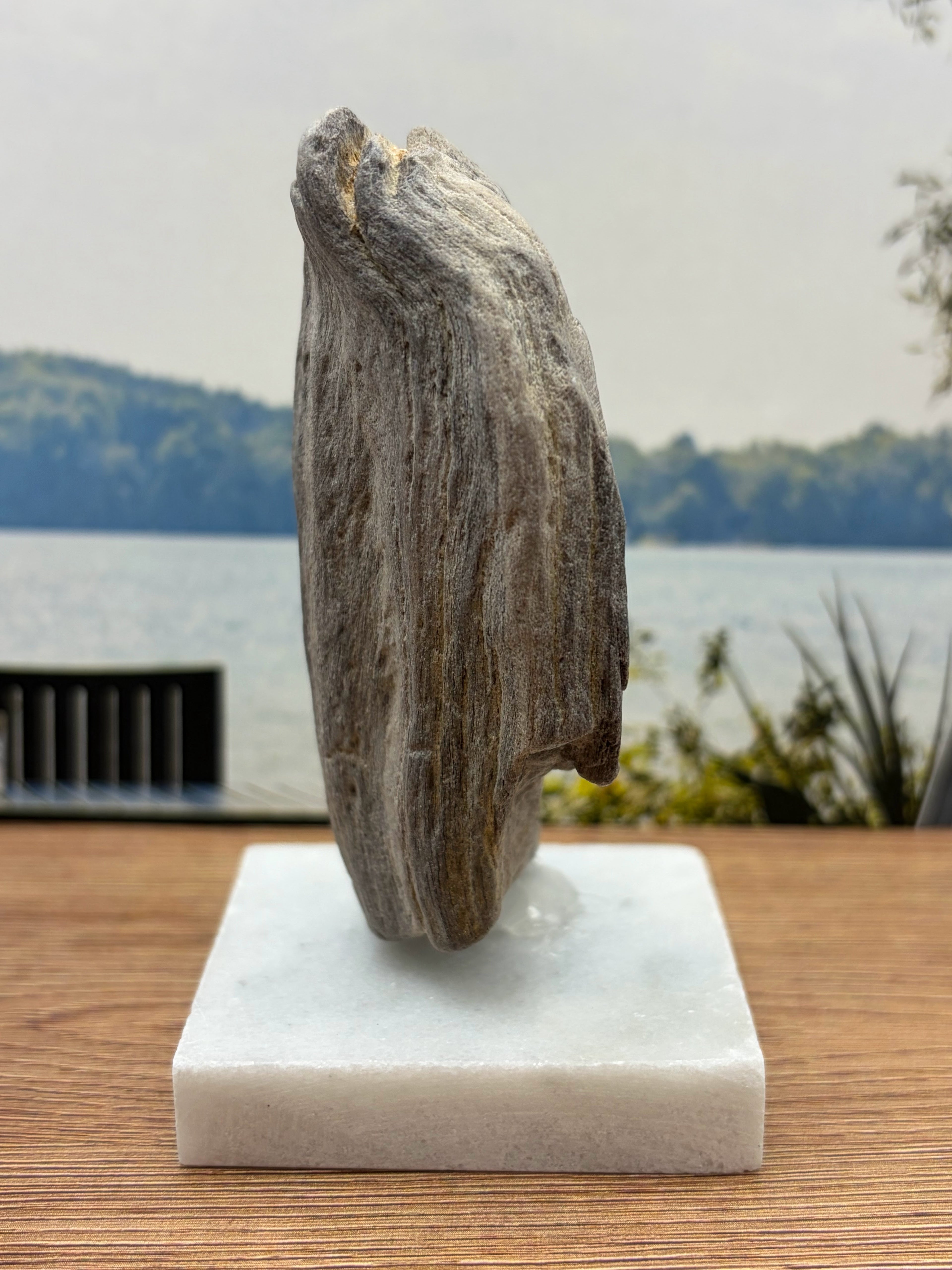 Petrified Wood Specimen (with stand)