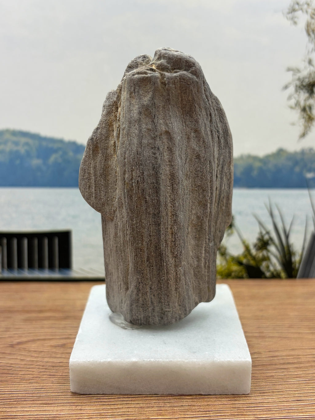 Petrified Wood Specimen (with stand)