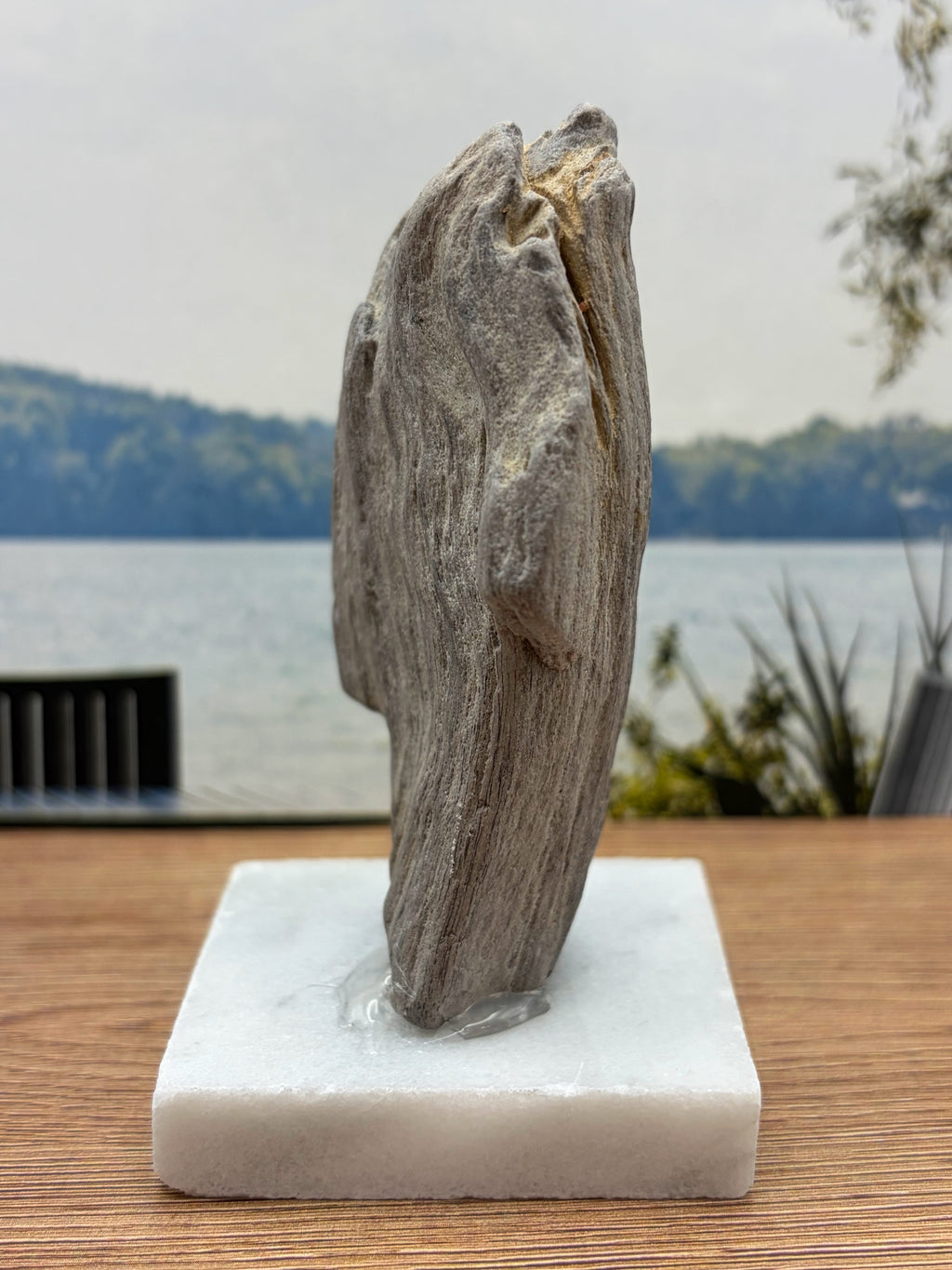 Petrified Wood Specimen (with stand)