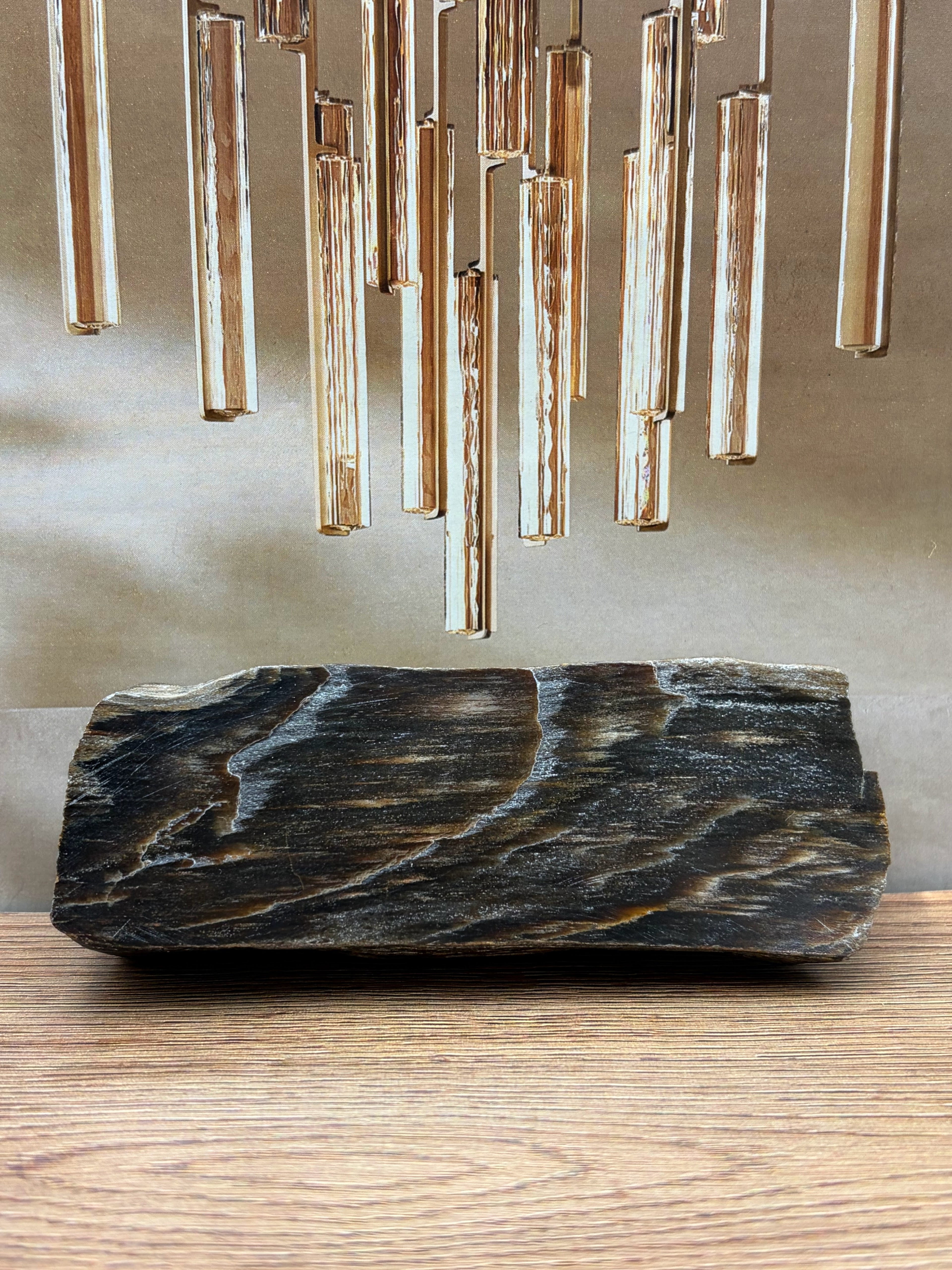 Petrified Wood Specimen, Polished