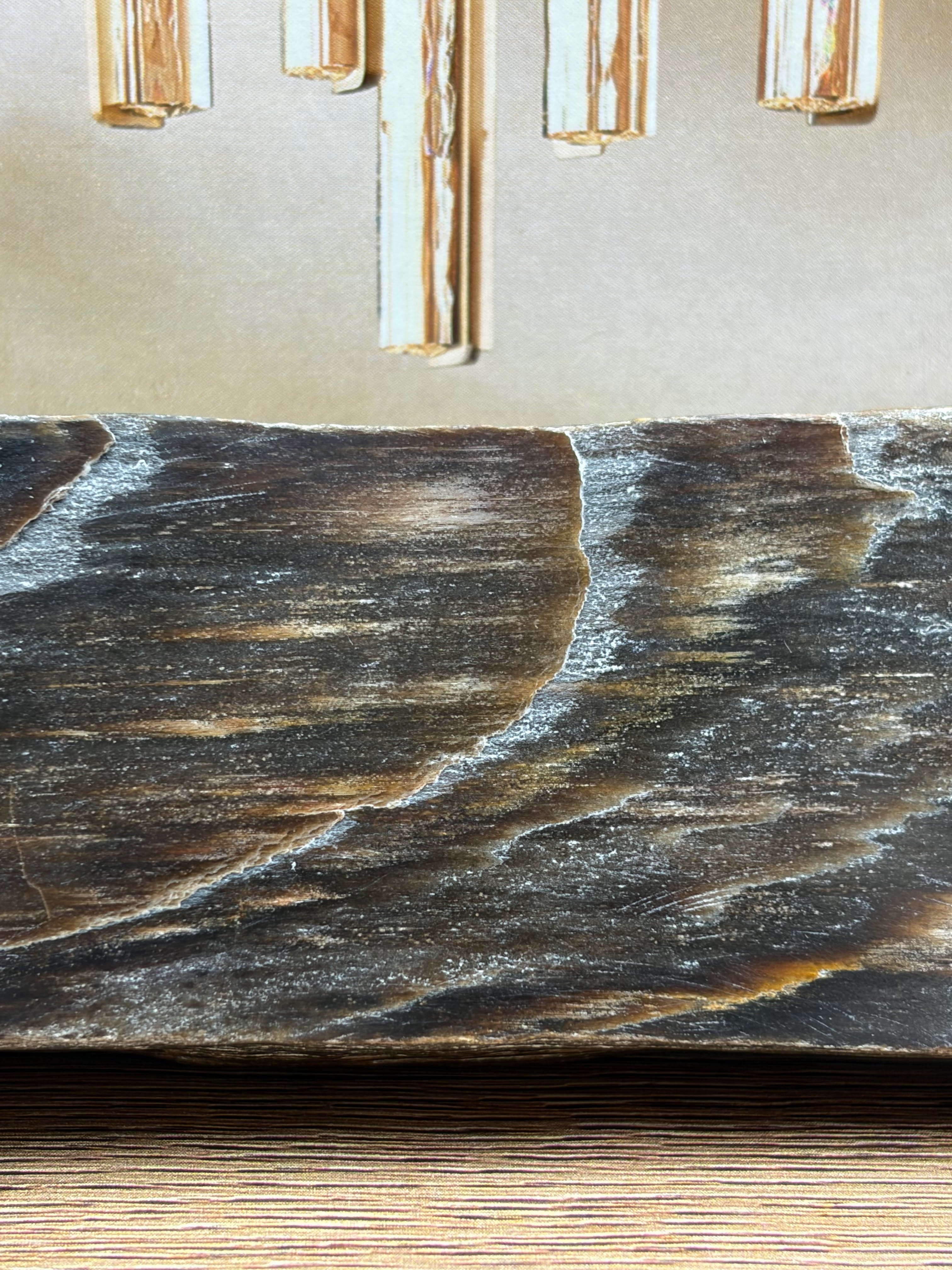 Petrified Wood Specimen, Polished