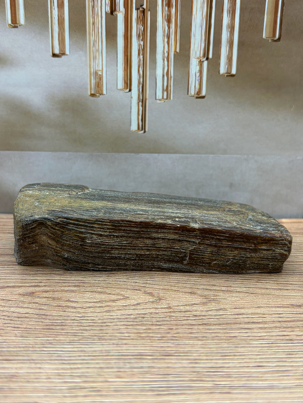 Petrified Wood Specimen, Polished