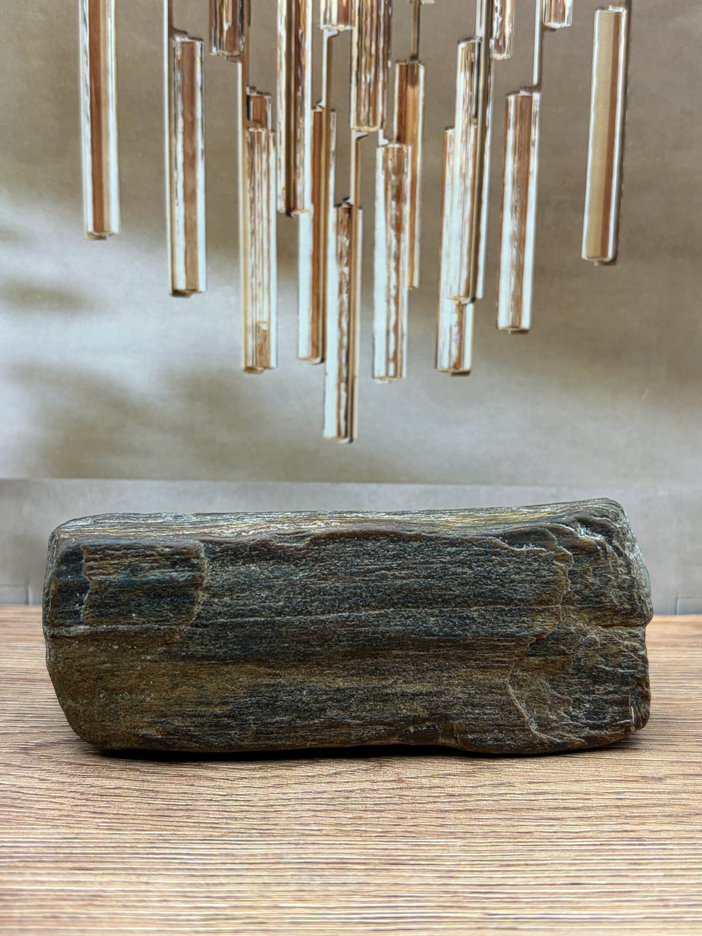 Petrified Wood Specimen, Polished