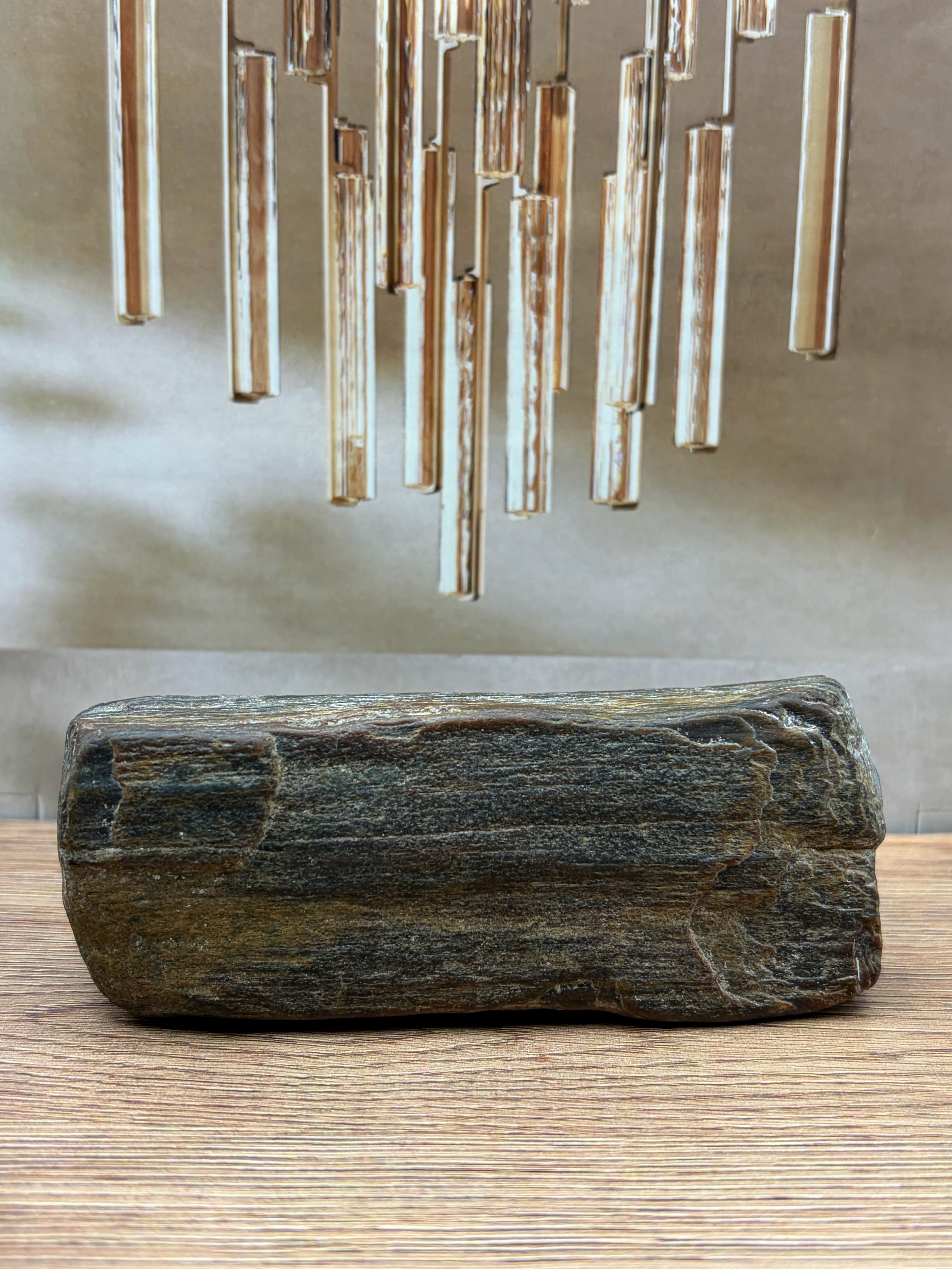 Petrified Wood Specimen, Polished