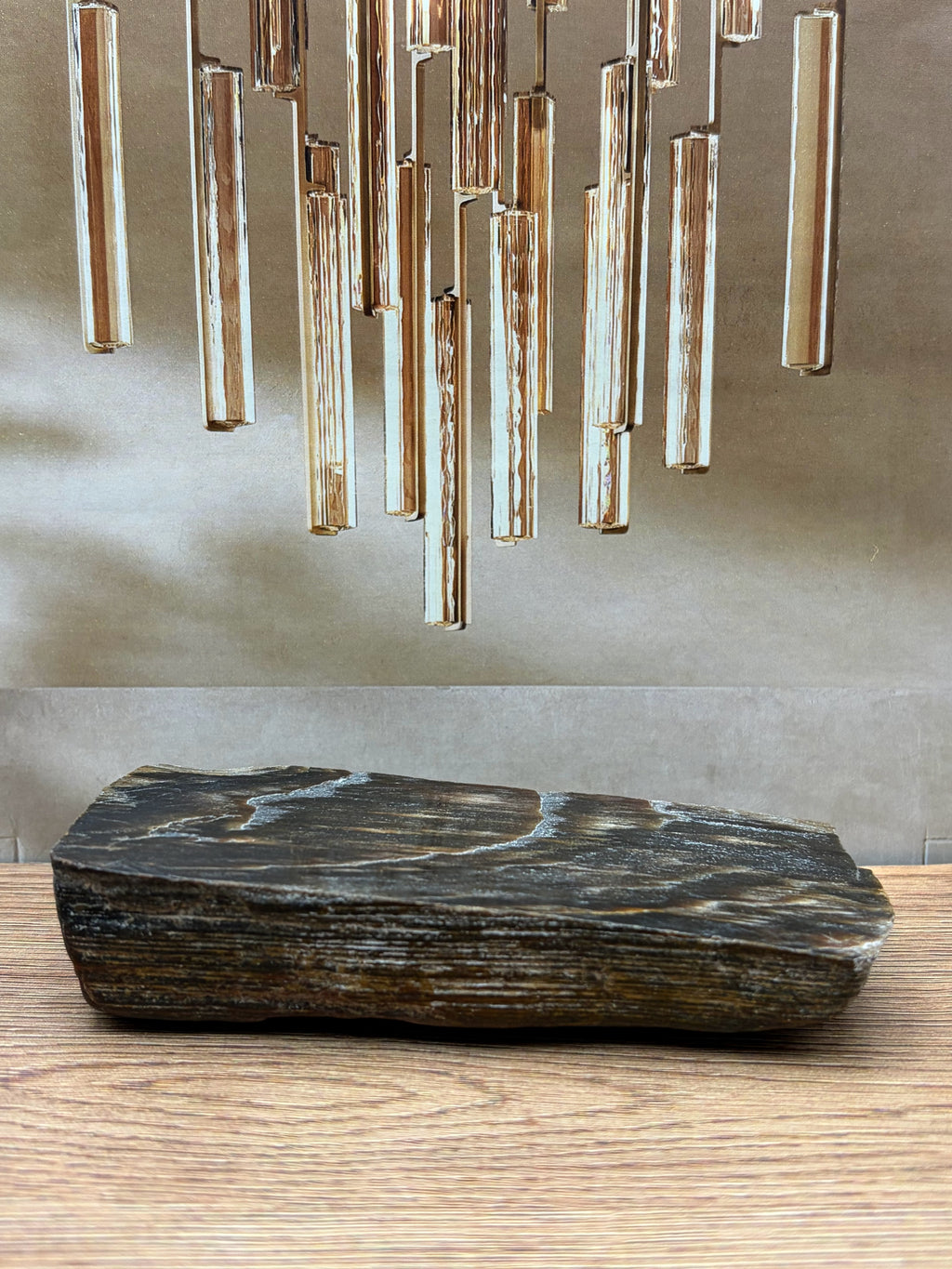 Petrified Wood Specimen, Polished