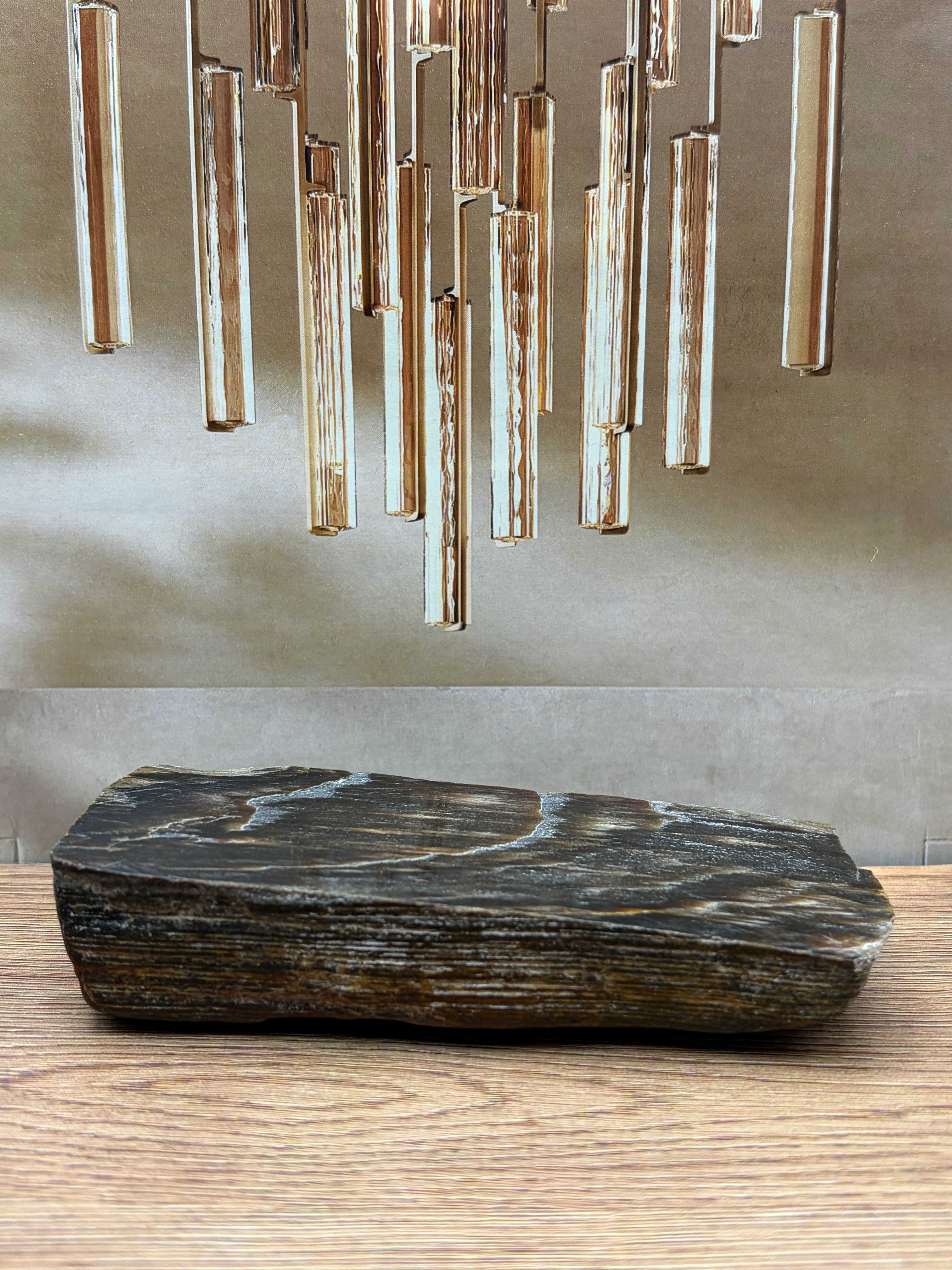 Petrified Wood Specimen, Polished