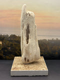 Petrified Wood Specimen (with stand) "The Pointer"