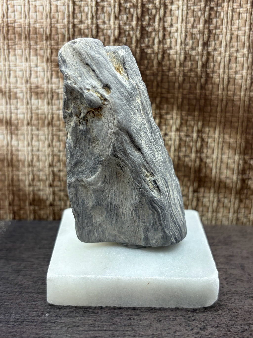 Petrified Wood Specimen (with stand)