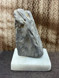 Petrified Wood Specimen (with stand)