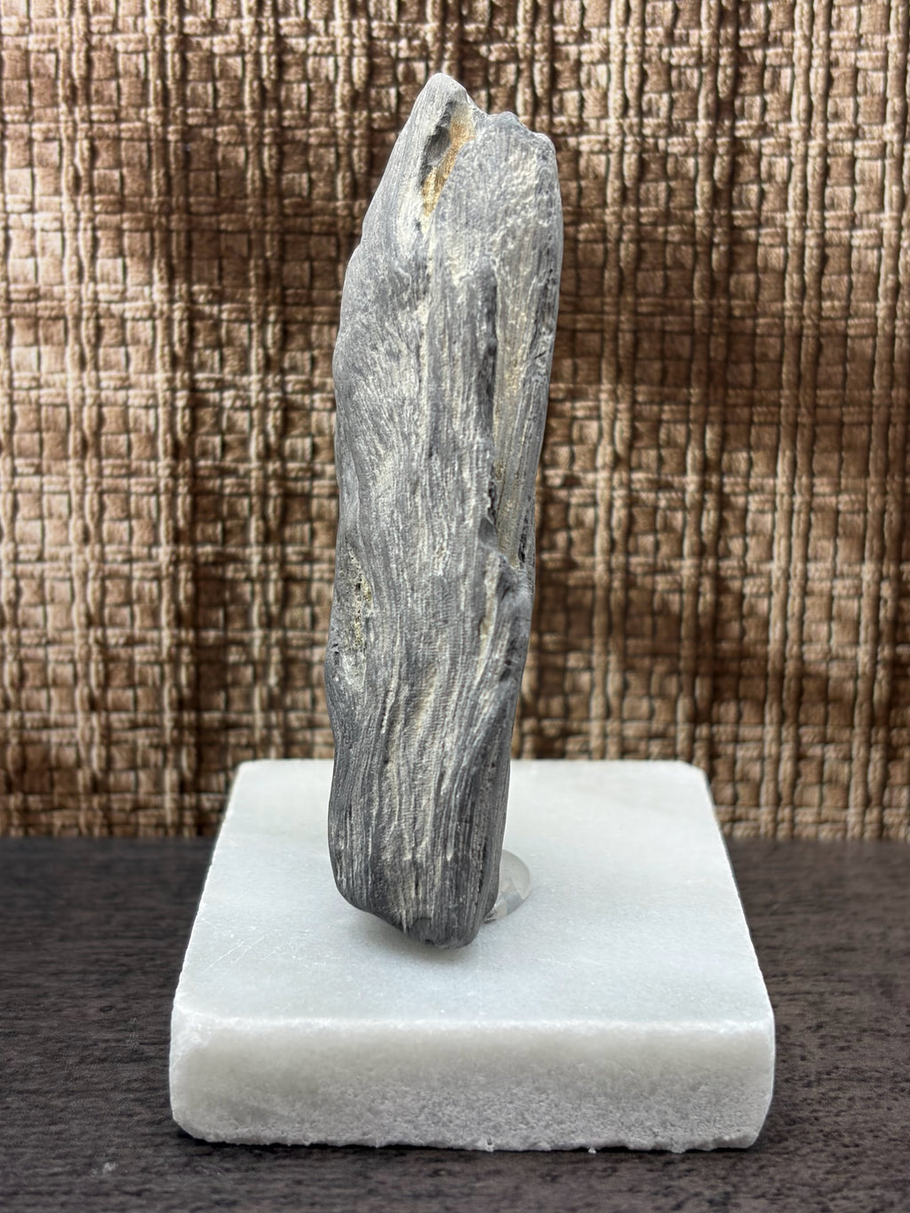 Petrified Wood Specimen (with stand)