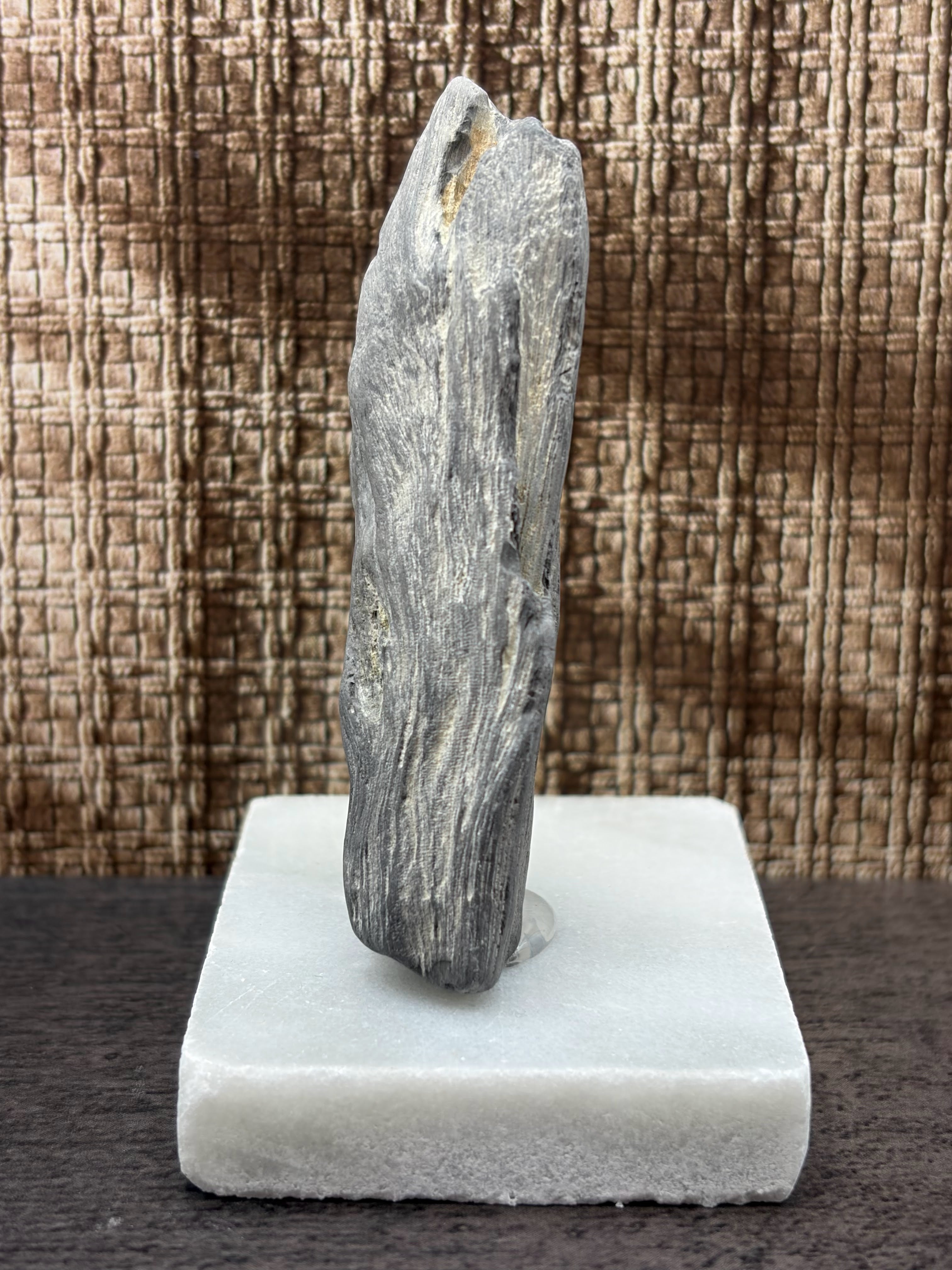 Petrified Wood Specimen (with stand)