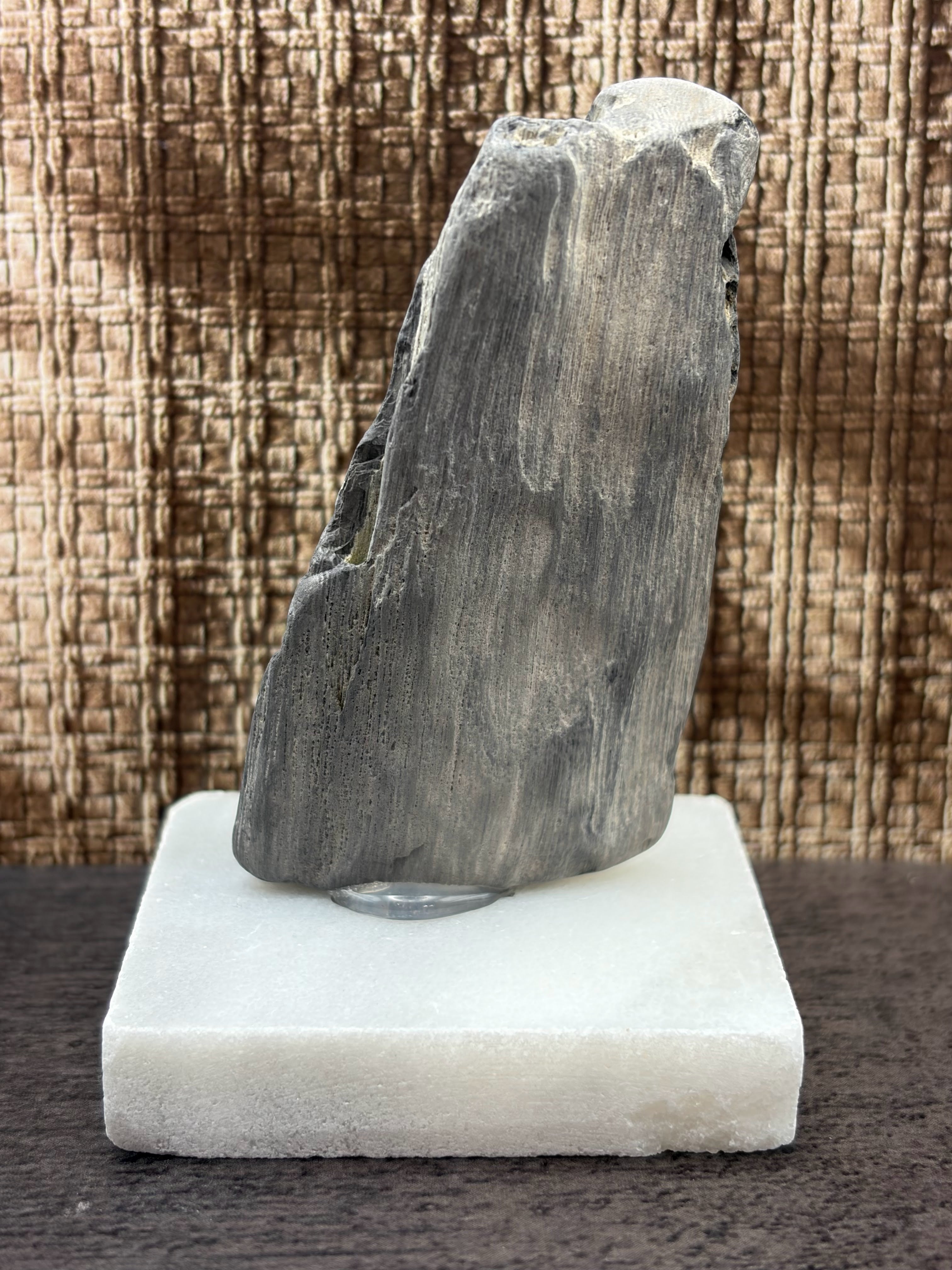 Petrified Wood Specimen (with stand)