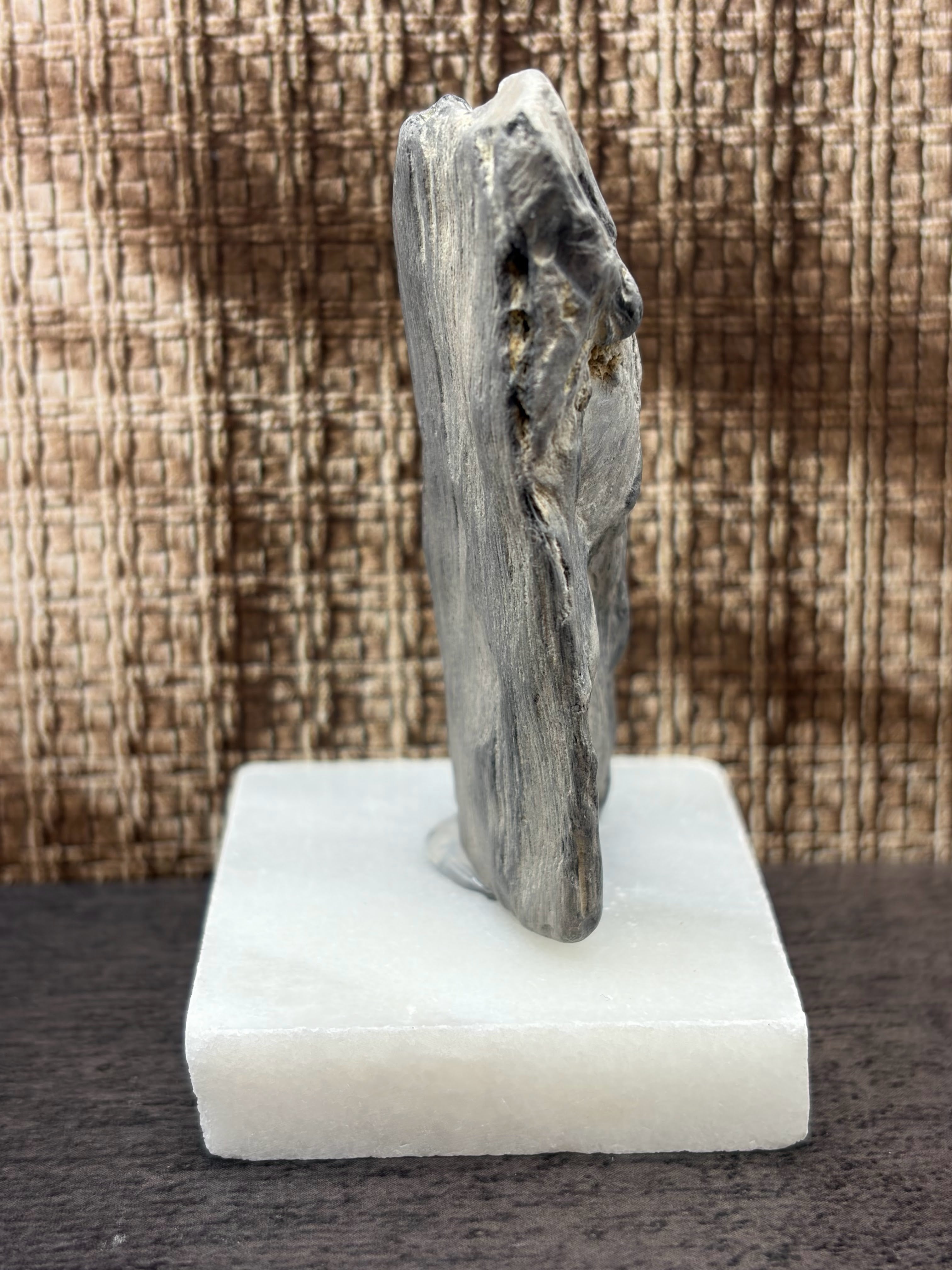 Petrified Wood Specimen (with stand)
