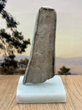 Petrified Wood Specimen (with stand)
