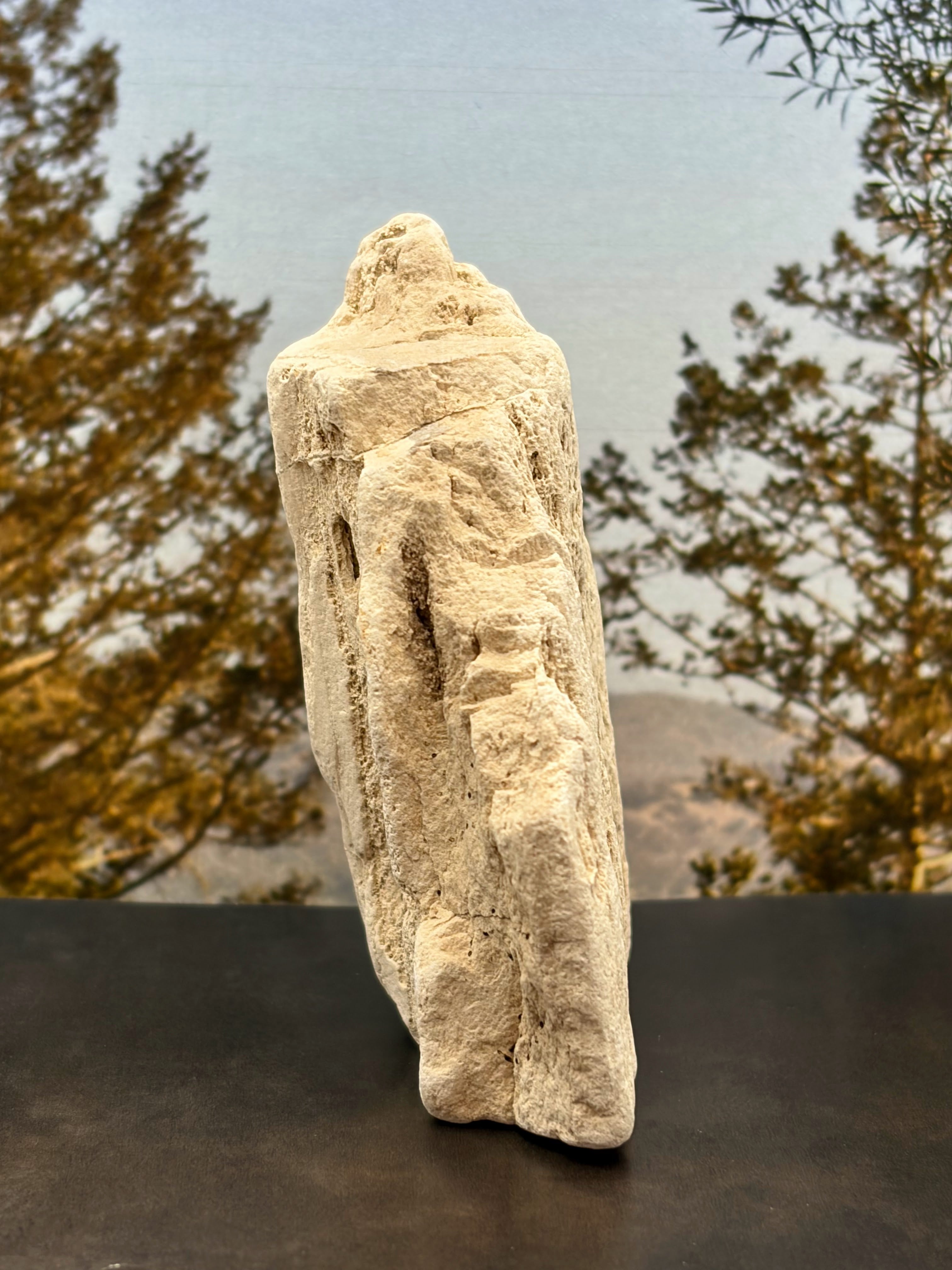 Petrified Wood Specimen
