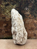 Petrified Wood Specimen