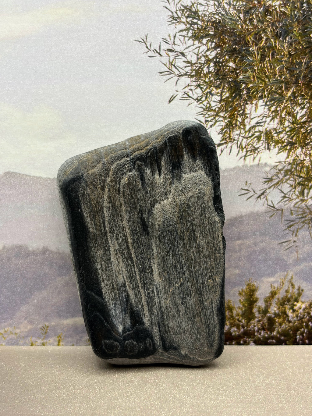 Black Opalized Wood Specimen