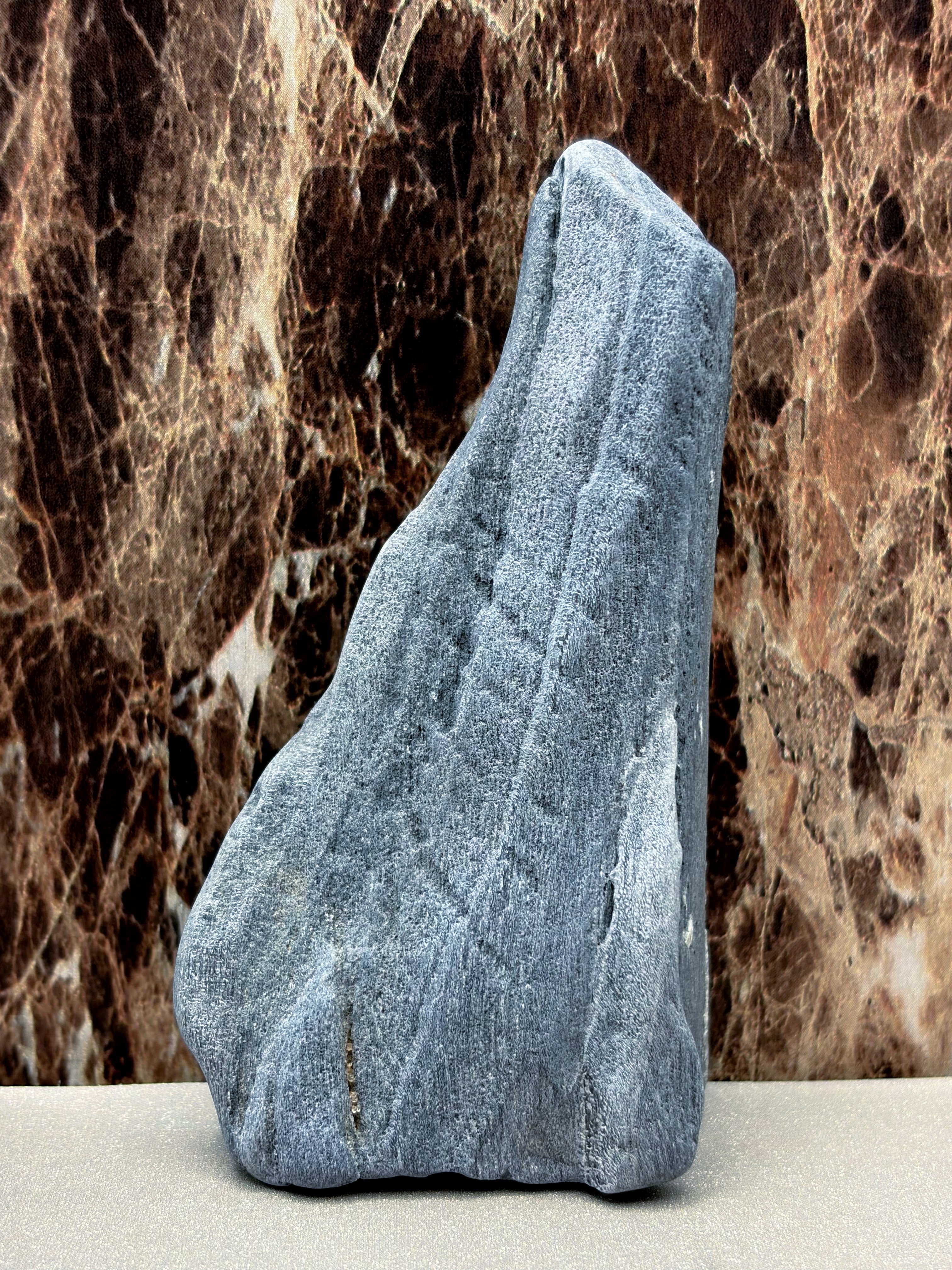 Petrified Wood Specimen with Markings