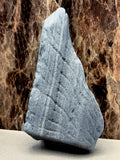 Petrified Wood Specimen with Markings