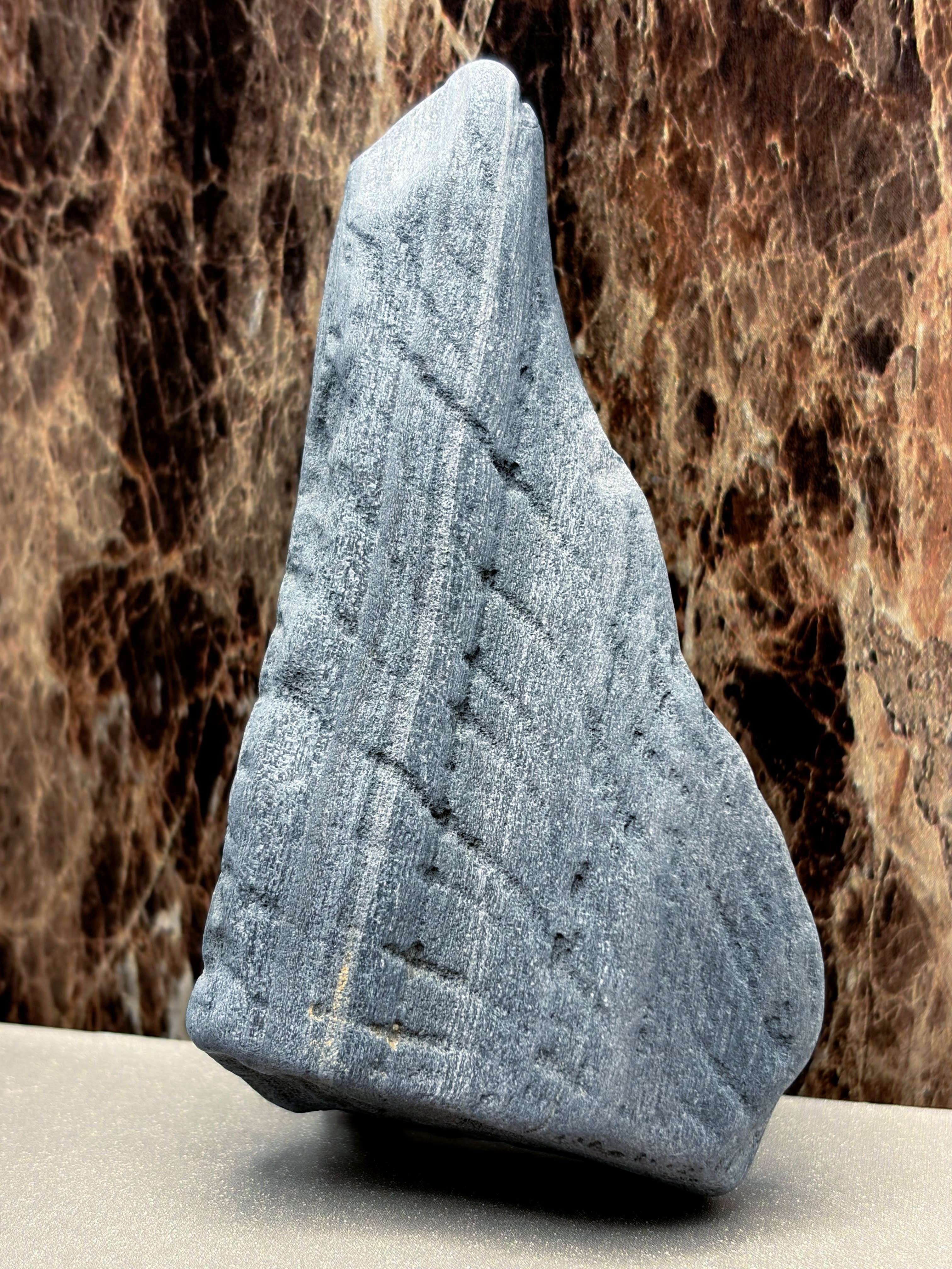 Petrified Wood Specimen with Markings