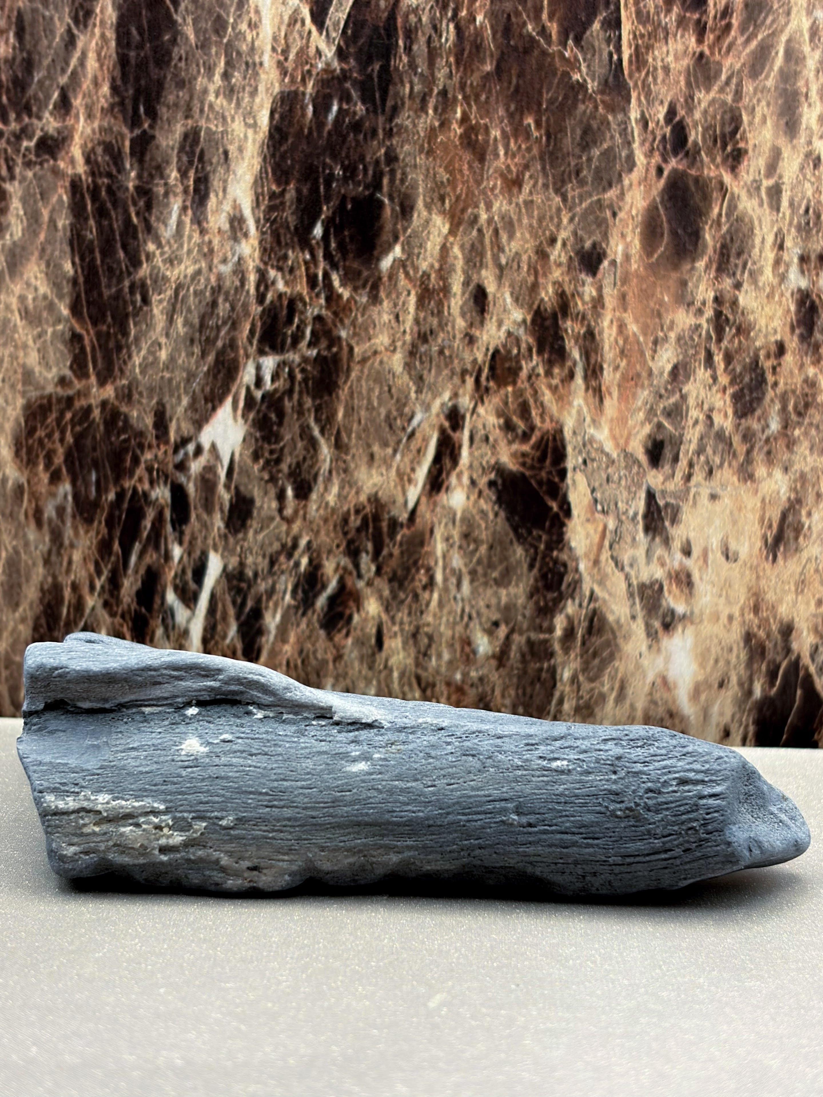 Petrified Wood Specimen with Markings