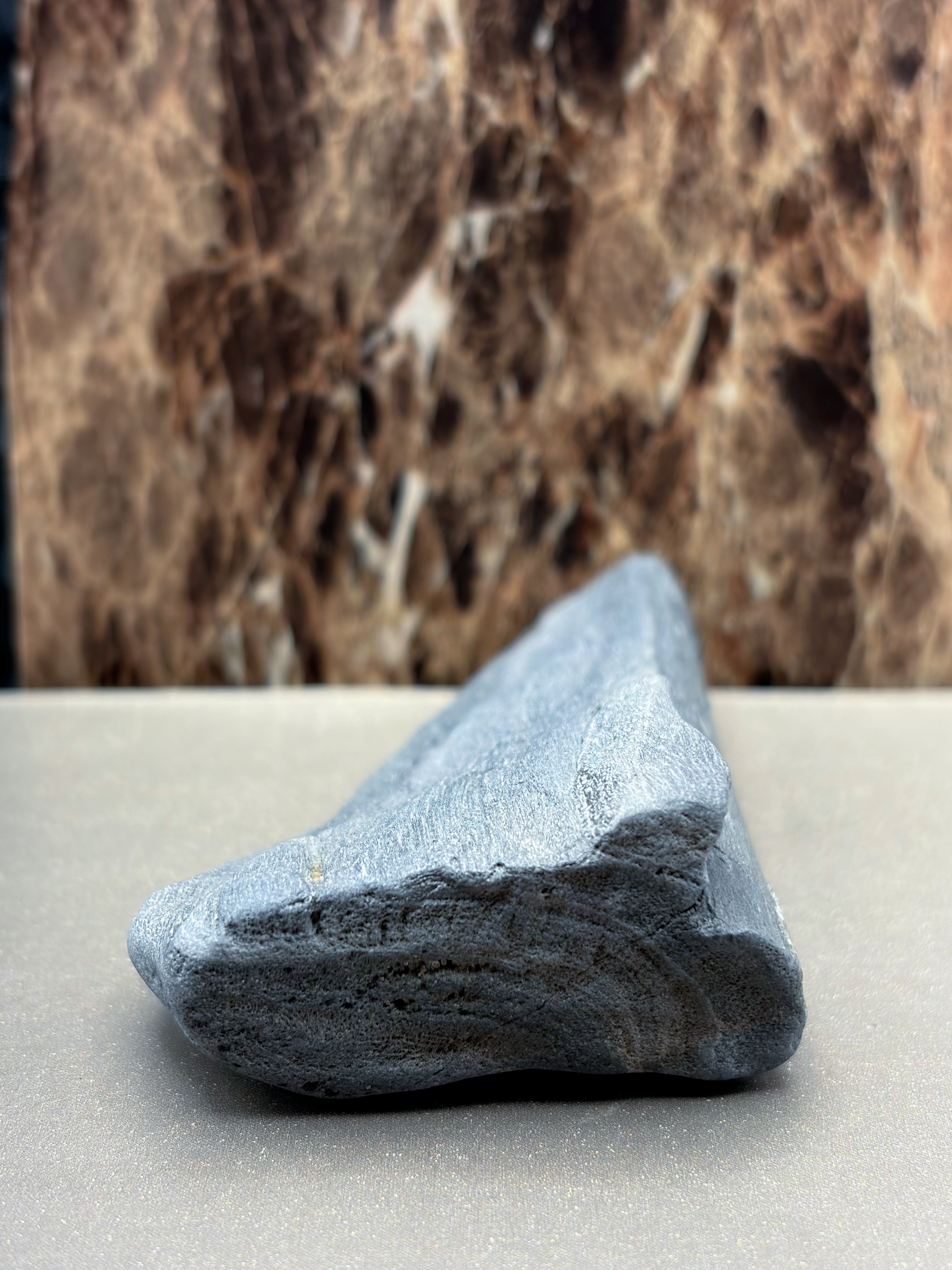 Petrified Wood Specimen with Markings