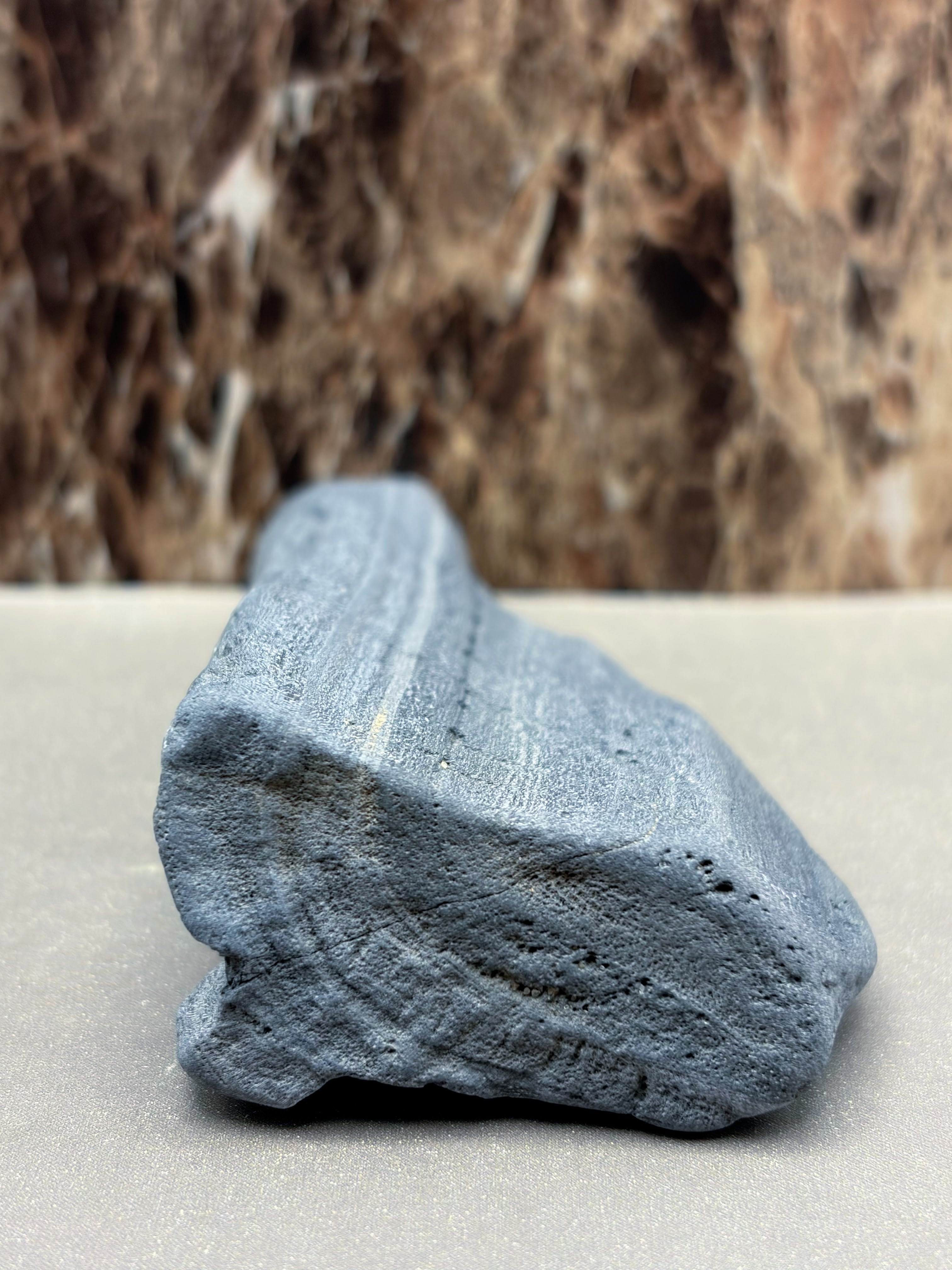 Petrified Wood Specimen with Markings