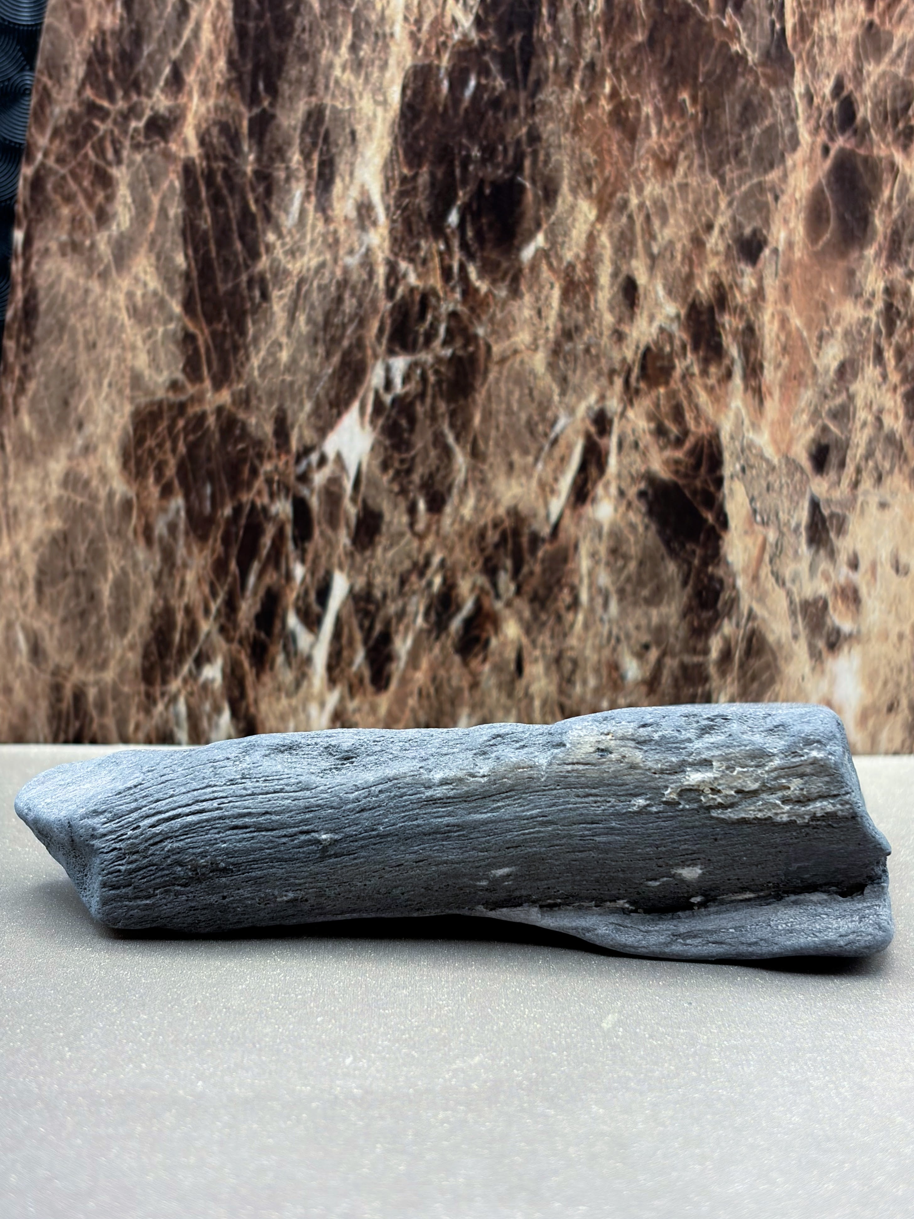Petrified Wood Specimen with Markings