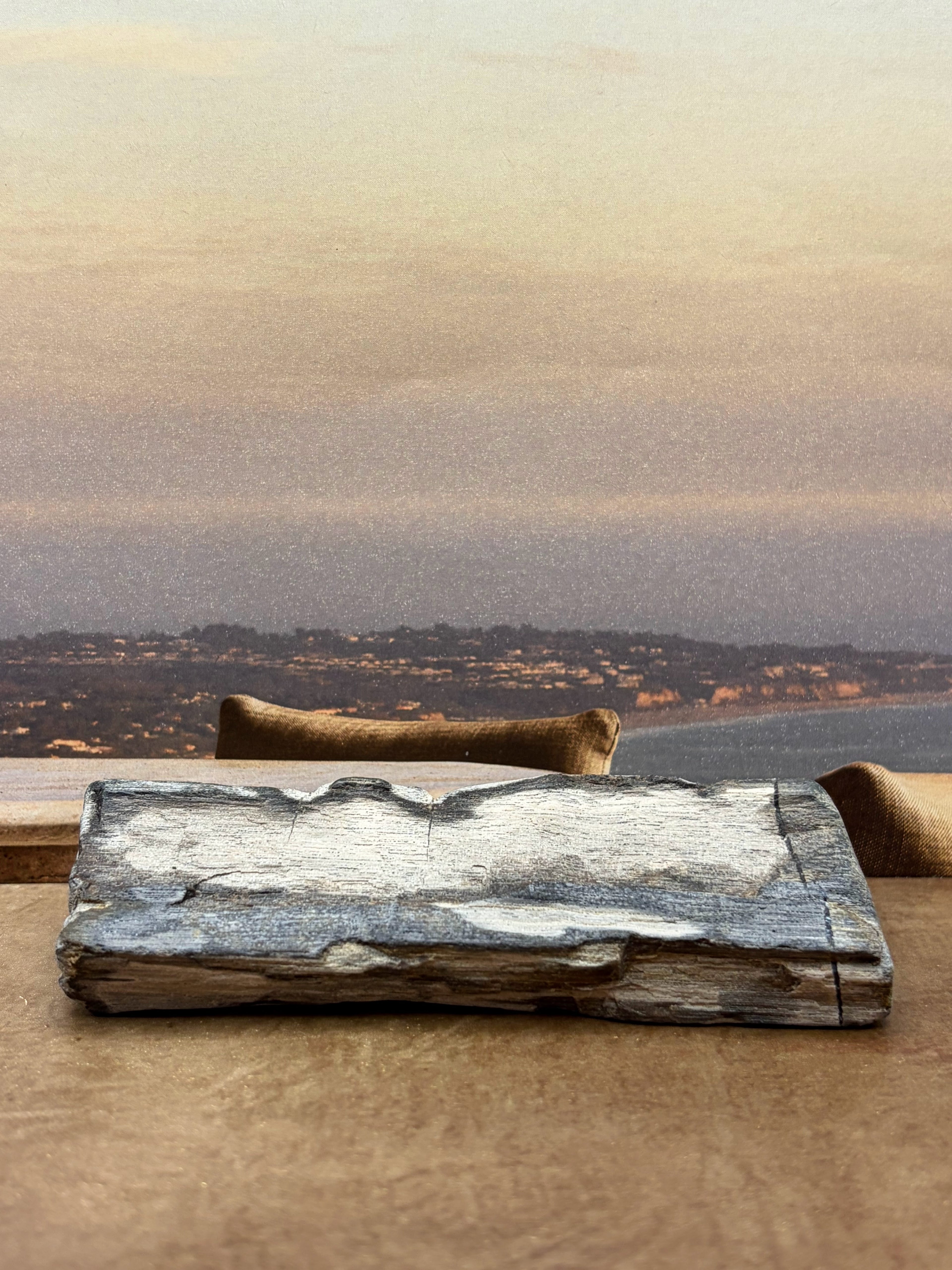 Petrified Wood Specimen "Singed"