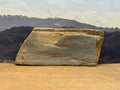 Petrified Wood Specimen (SOLD)
