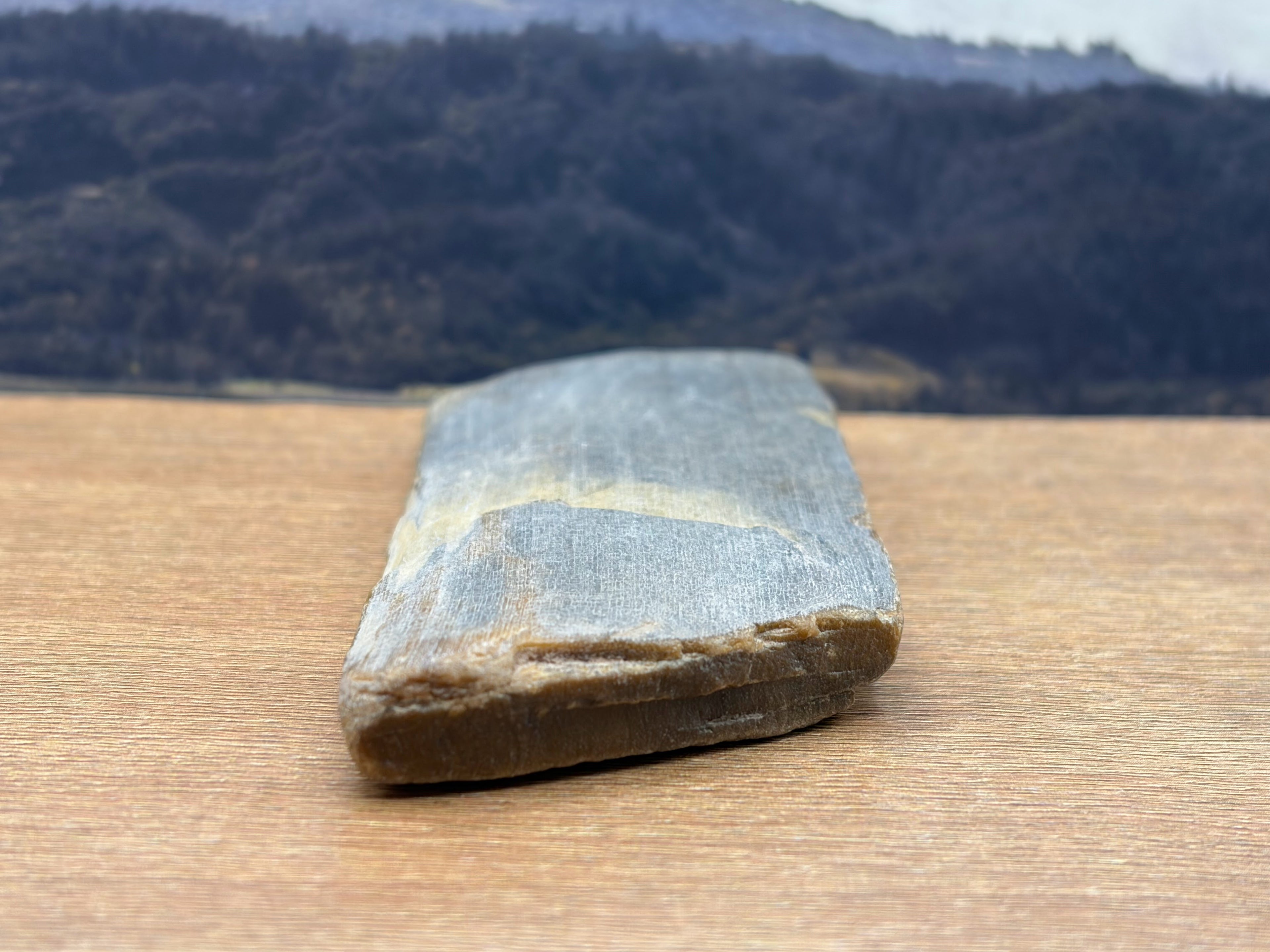 Petrified Wood Specimen (SOLD)