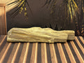 Petrified Wood Specimen