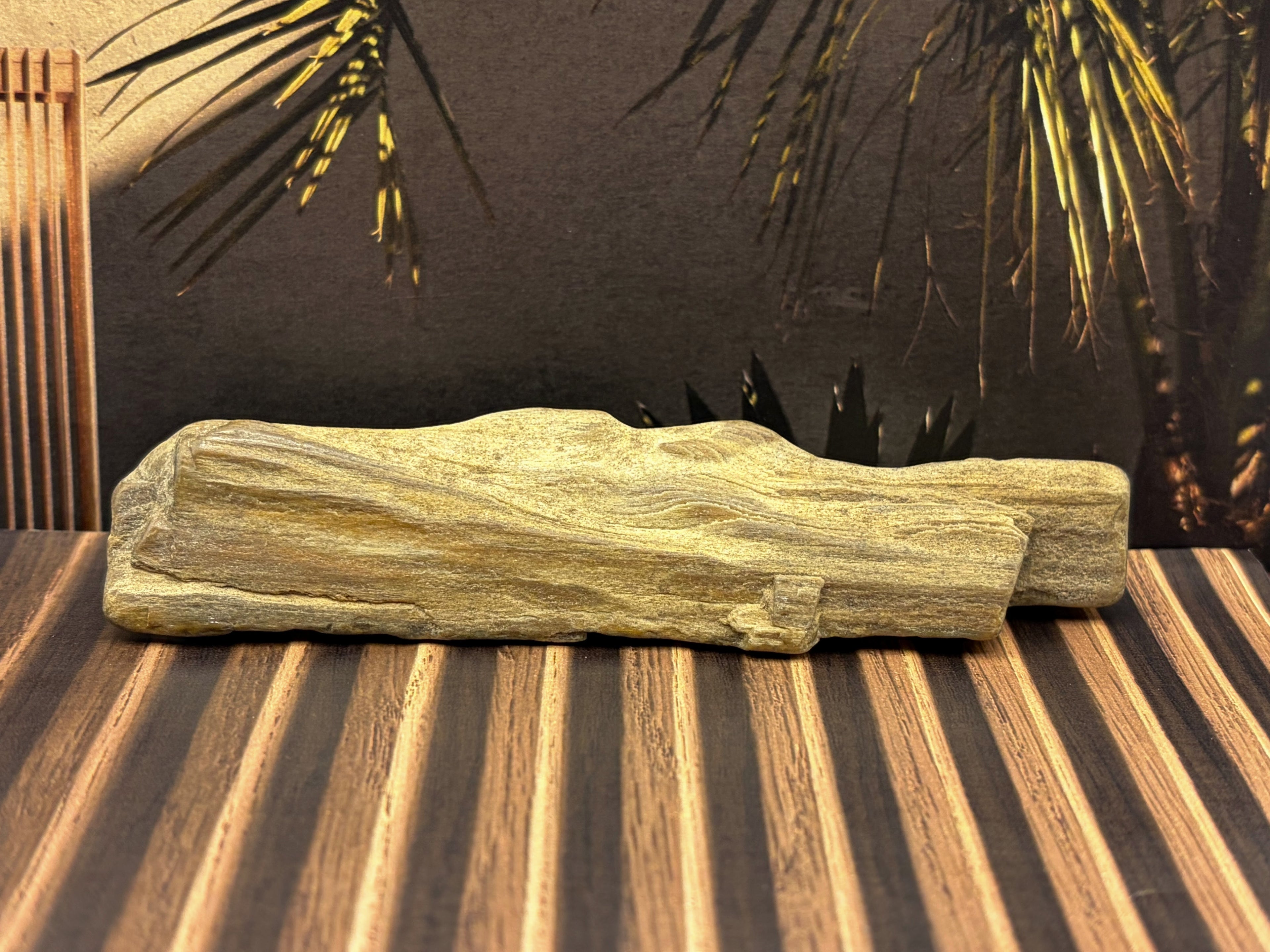 Petrified Wood Specimen