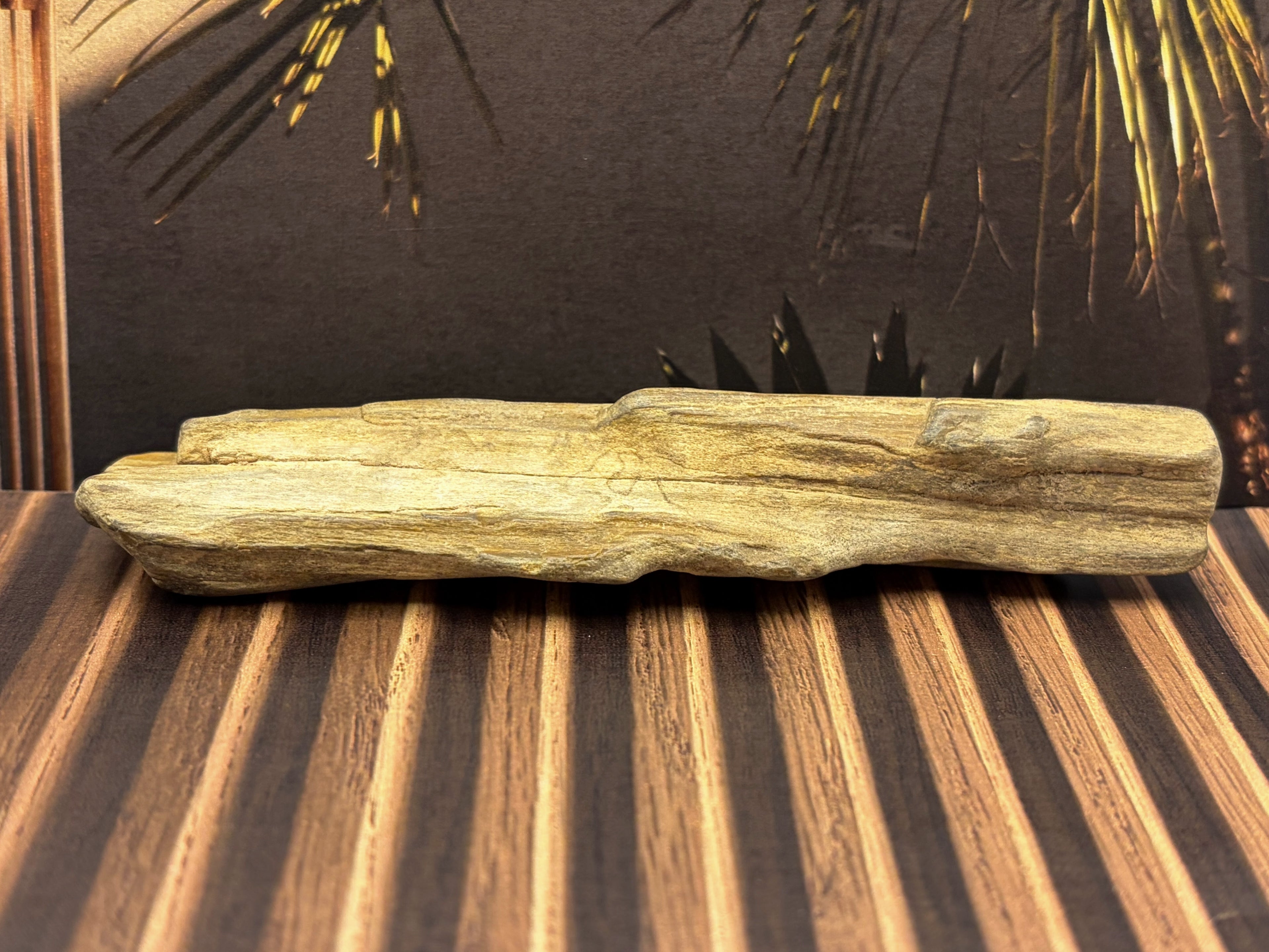 Petrified Wood Specimen