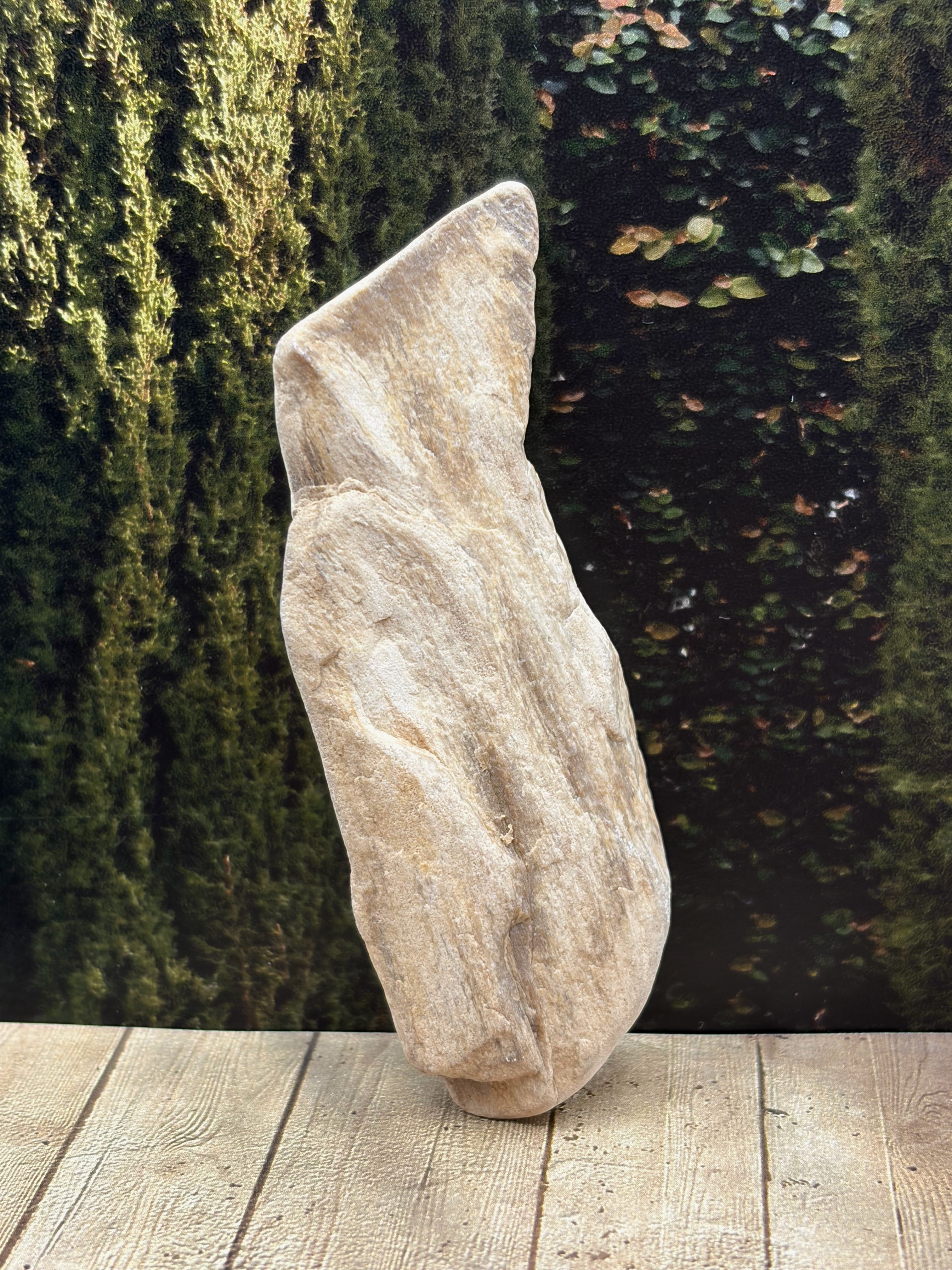 Petrified Wood Specimen "The Fish"