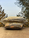 Petrified Wood Specimen with Druzy Crystals