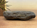 Petrified Druzy Wood Specimen