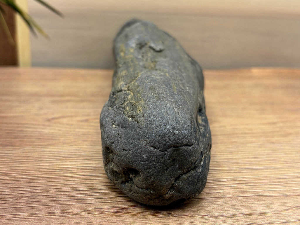 Petrified Druzy Wood Specimen