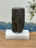 Small Petrified Wood Specimen with Druzy Crystals (with stand)
