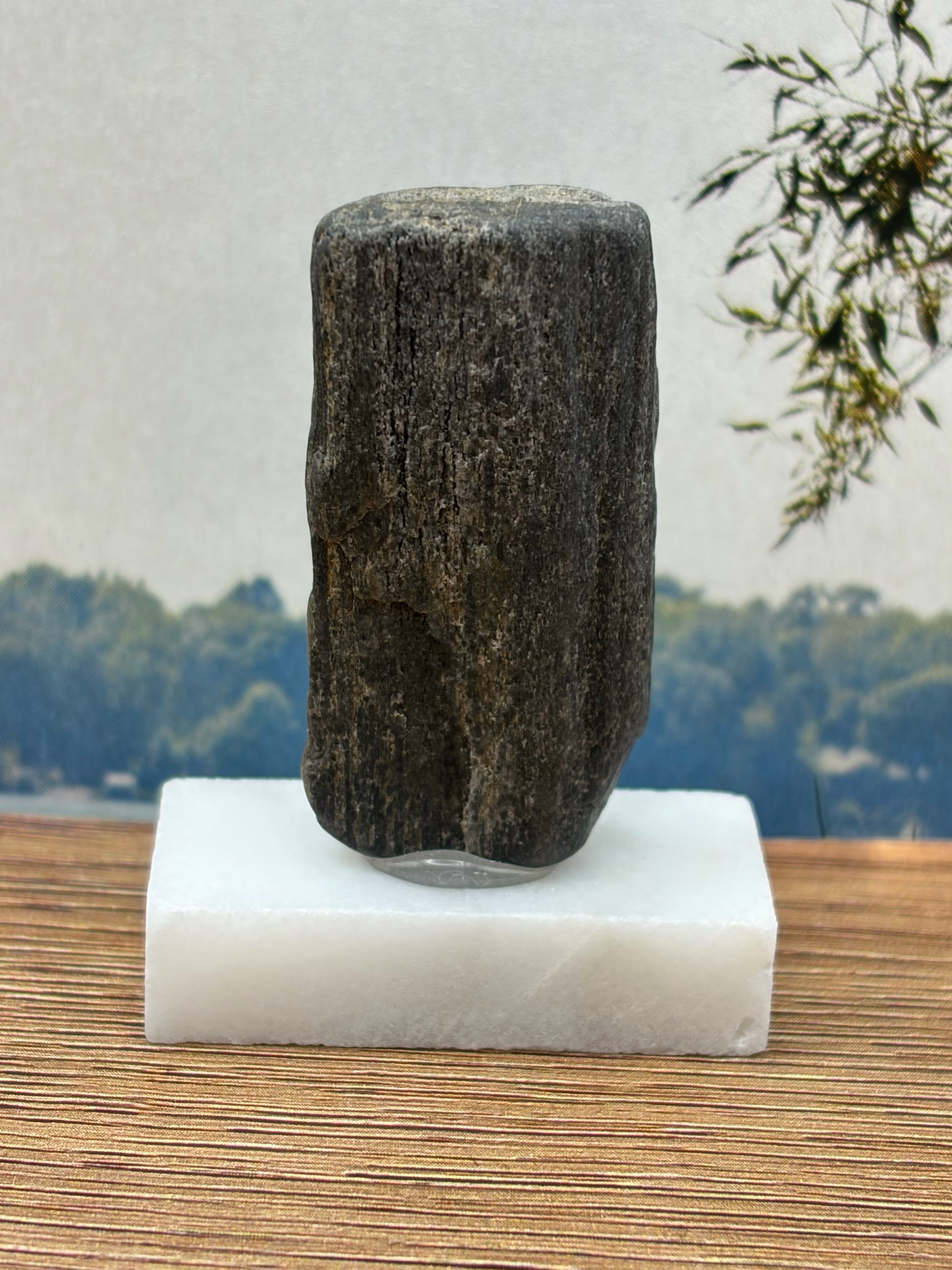 Small Petrified Wood Specimen with Druzy Crystals (with stand)