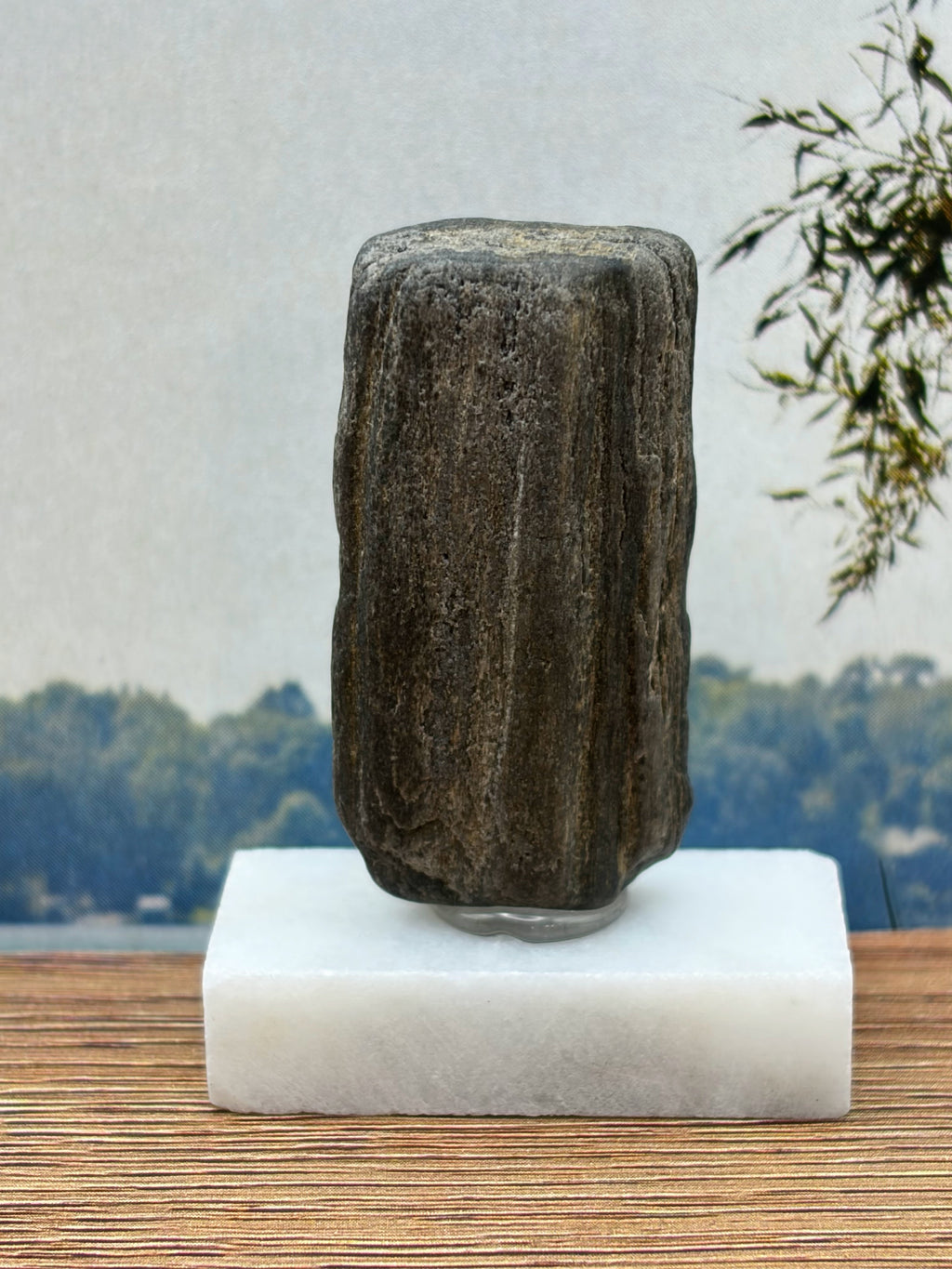 Small Petrified Wood Specimen with Druzy Crystals (with stand)