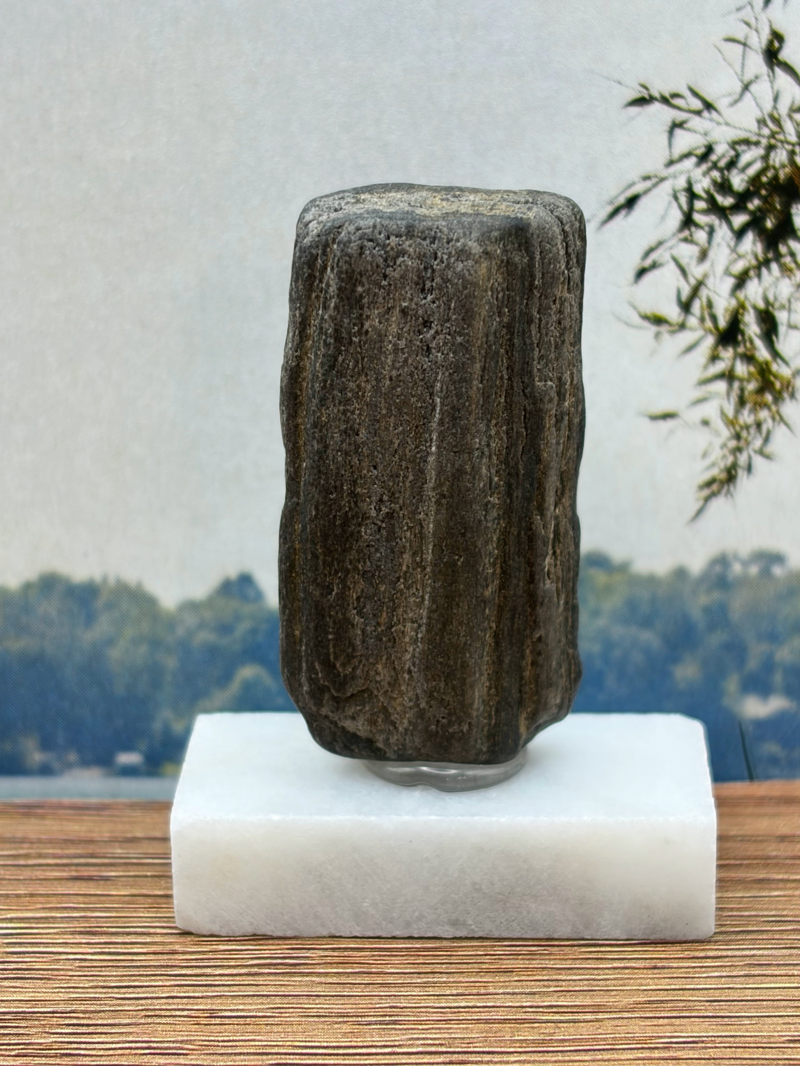 Small Petrified Wood Specimen with Druzy Crystals (with stand)