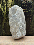Petrified Wood Specimen with Druzy Crystals