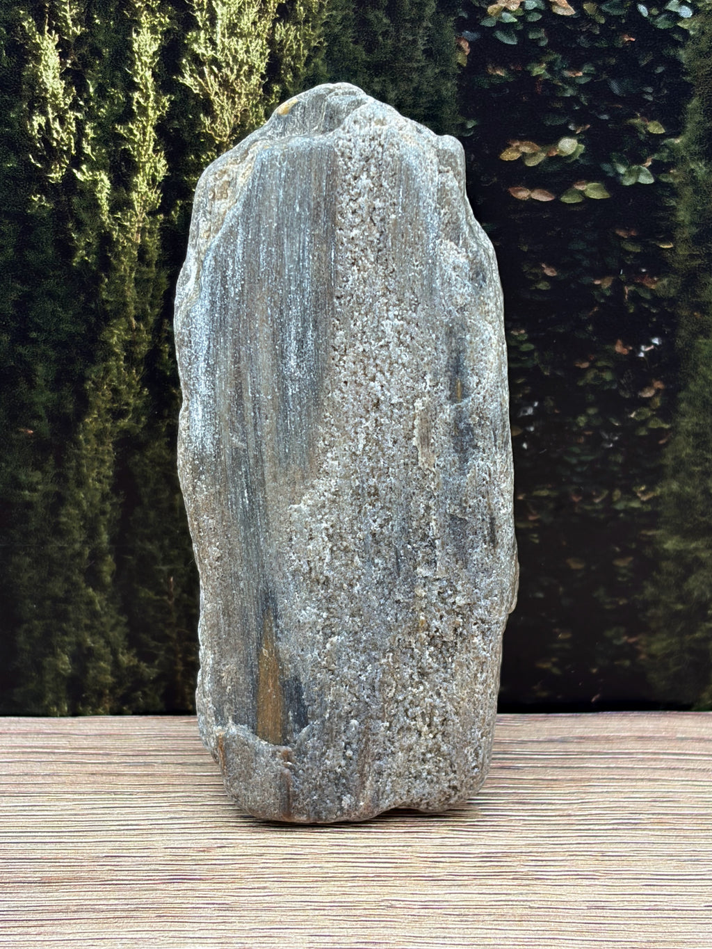Petrified Wood Specimen with Druzy Crystals