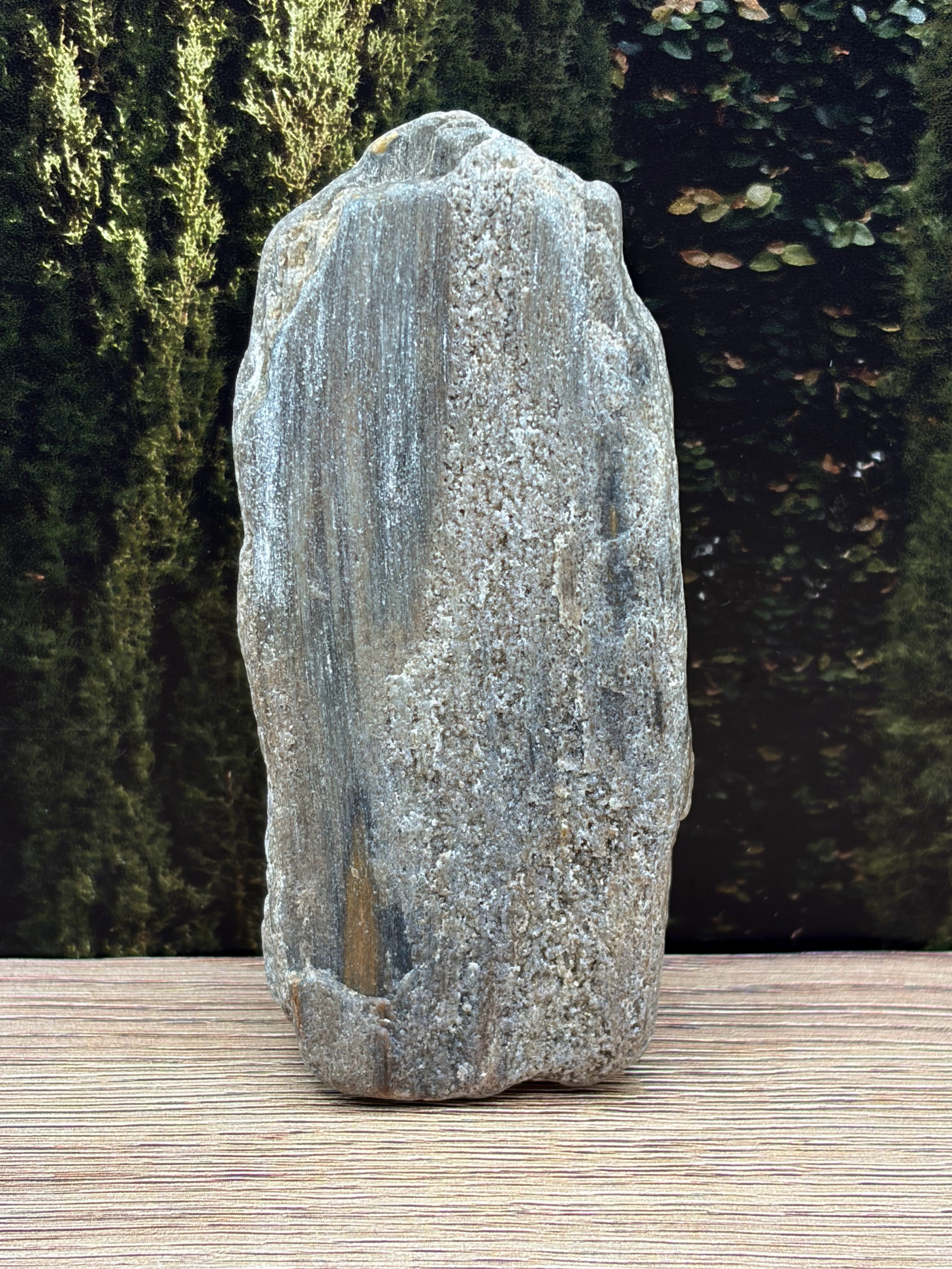 Petrified Wood Specimen with Druzy Crystals