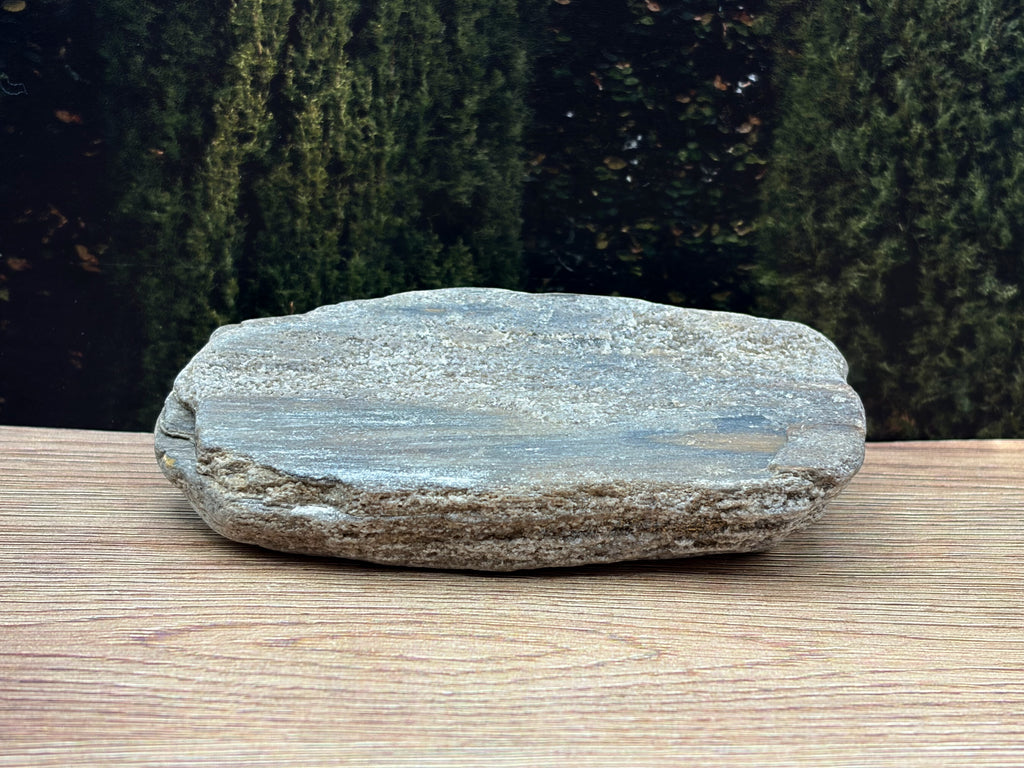 Petrified Wood Specimen with Druzy Crystals