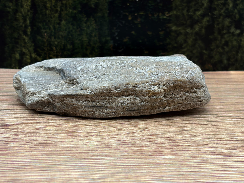 Petrified Wood Specimen with Druzy Crystals